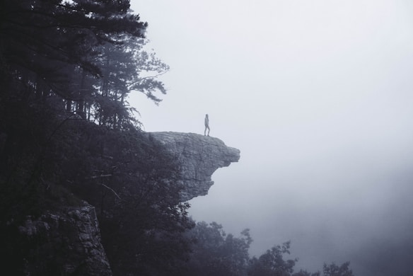 A solitary figure stands on the edge of a rocky cliff surrounded by dense fog. The scene is enveloped in mist, creating an ethereal and mysterious atmosphere. Trees dot the landscape, partially obscured by the fog.