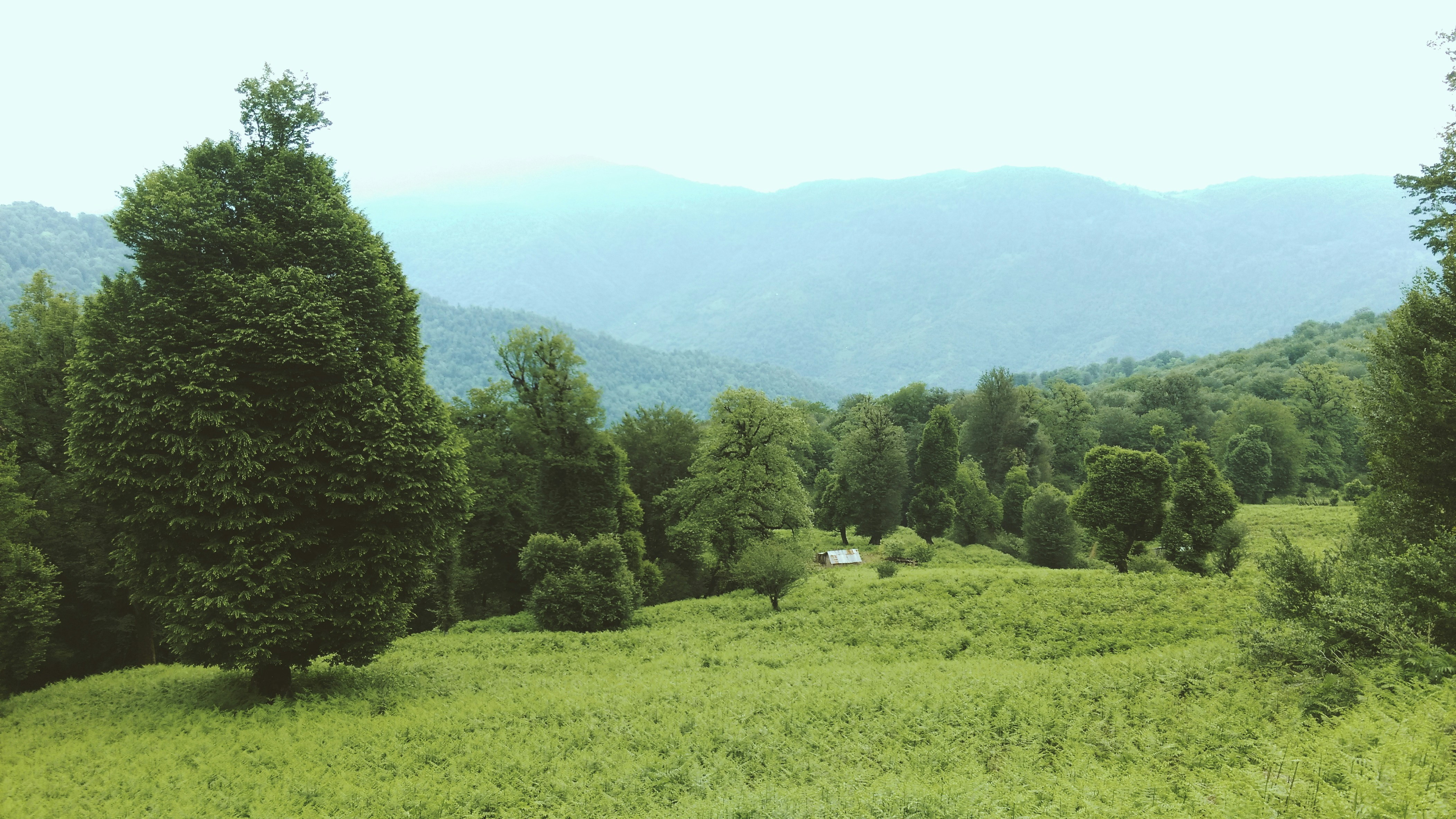 Free Unsplash photo from Amirhossein Eslami