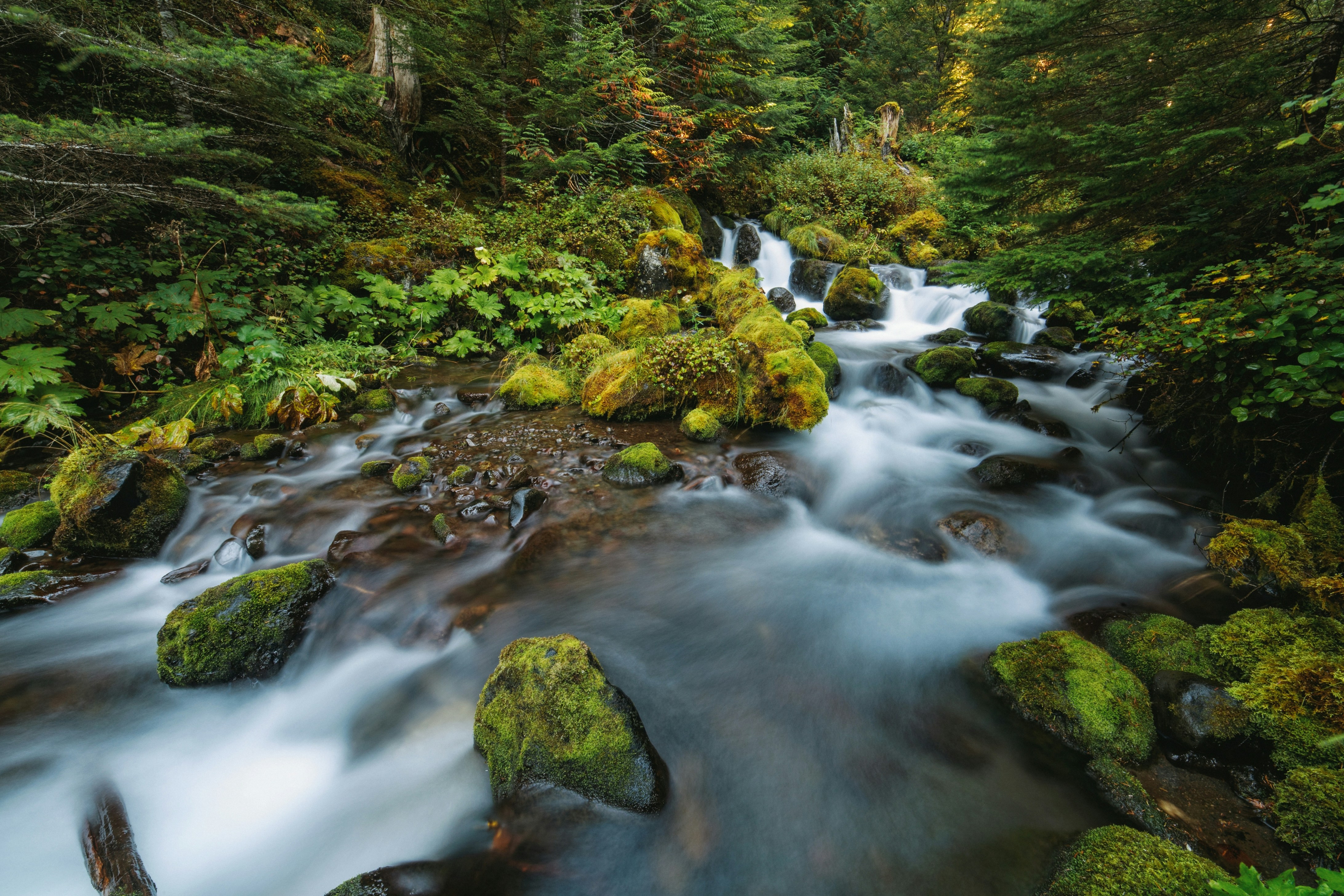 Медная река