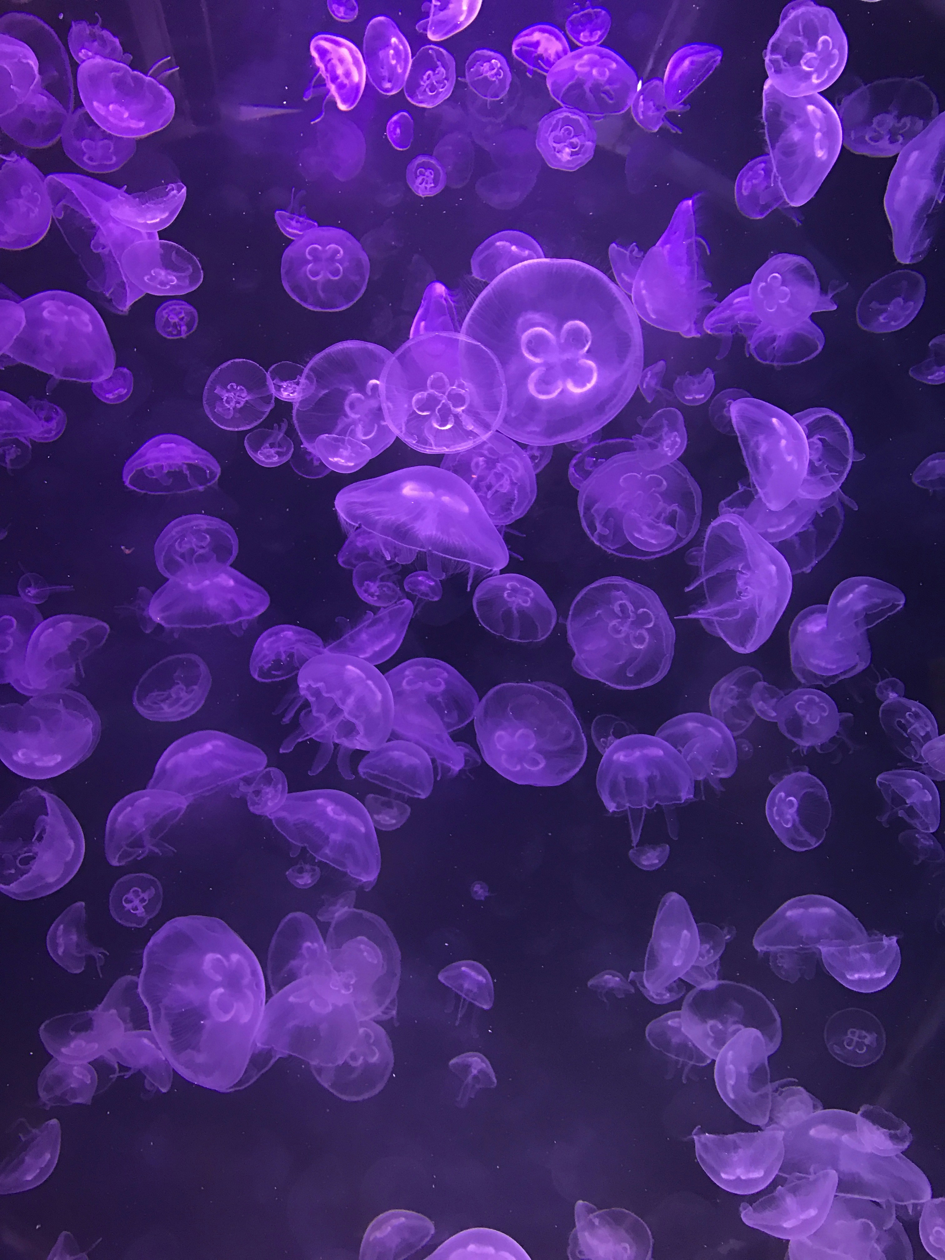 Free Unsplash photo from Caleb Stokes