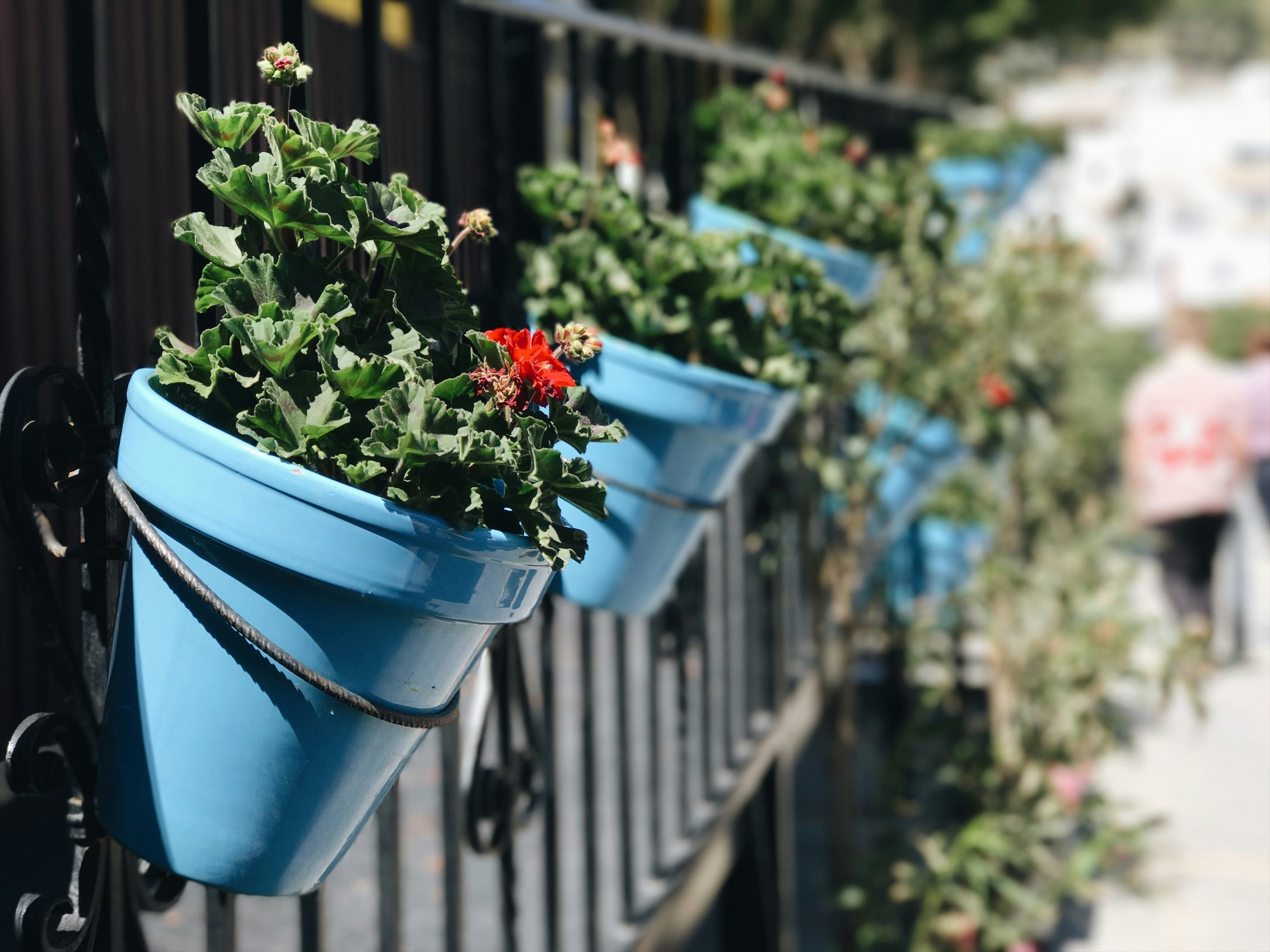 Free Unsplash photo from Caleb Stokes