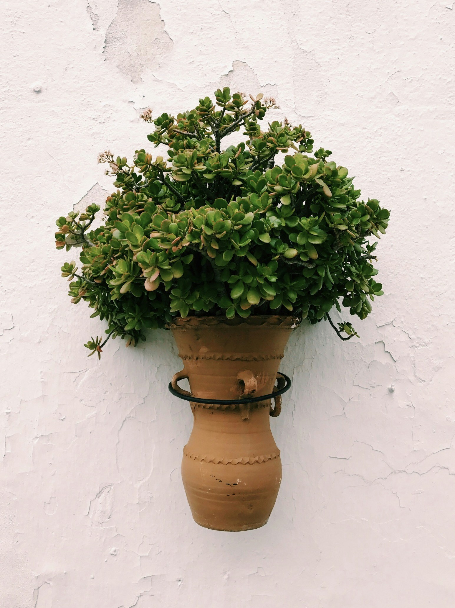 Free Unsplash photo from Caleb Stokes