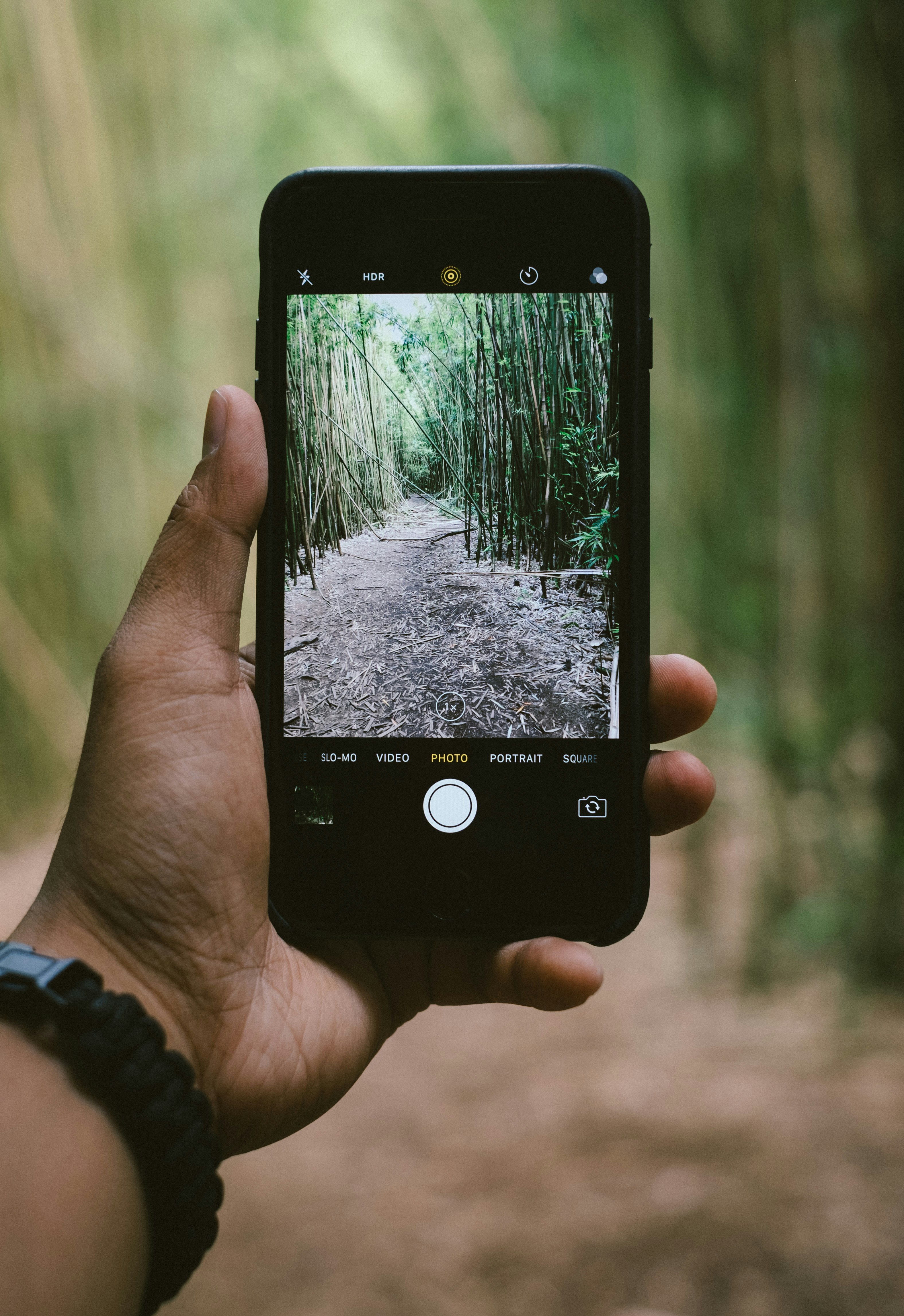 person holding smartphone while taking photo of green plants