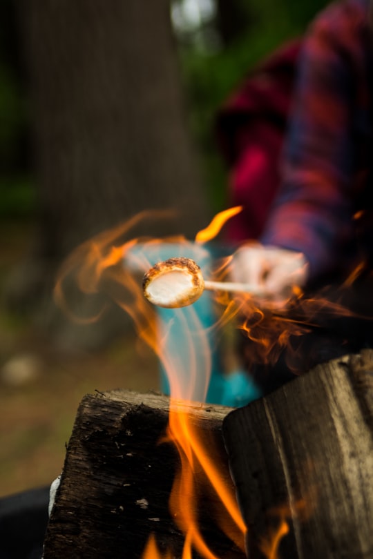 person barbecuing marshmallow in Glen Lake United States