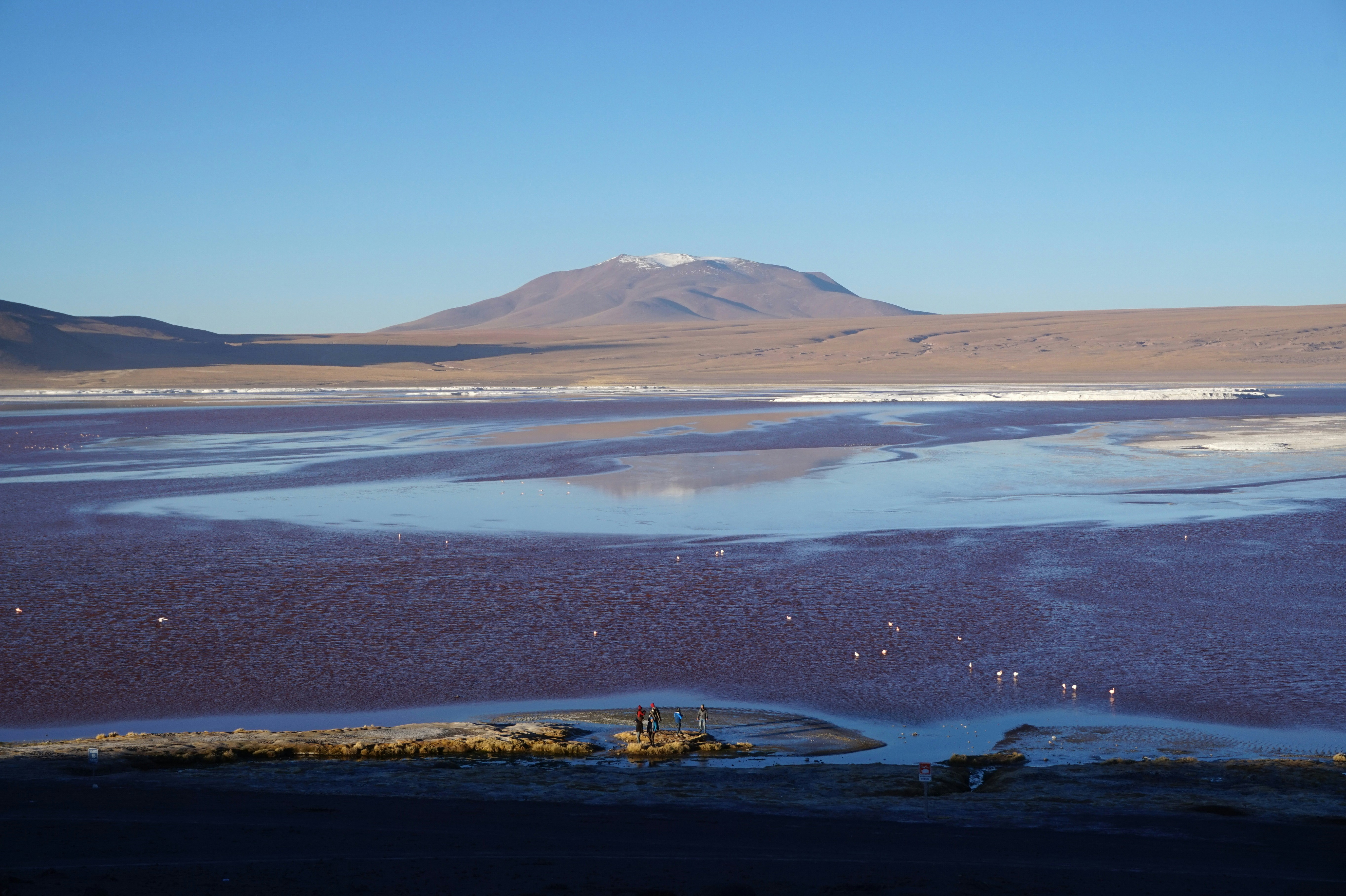 Free Unsplash photo from Marianne Lorthiois