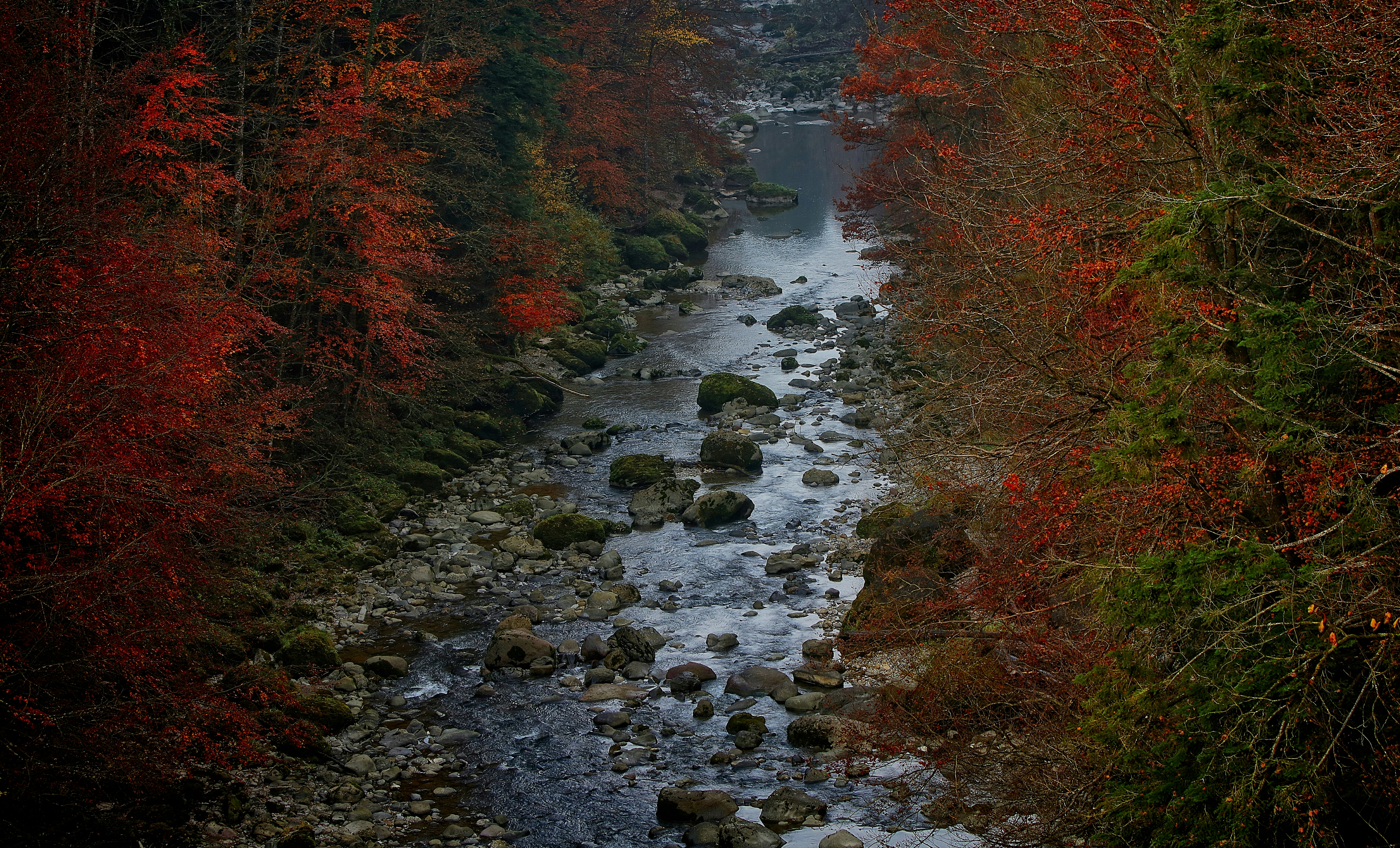 Photo by rgaleriacom