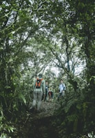 Local guide San leading a group along a rugged trail surrounded by tropical forest.