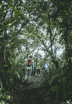 Team hiking together through a lush forest trail during a leadership retreat.