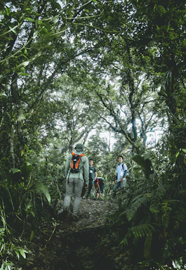A candid photo of a mountain guide leading a small group along a narrow forest trail under dappled sunlight.