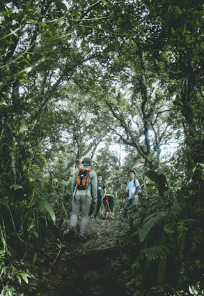 A group of people hike along a narrow forest path surrounded by lush greenery and tall trees. The trail is covered in leaves and branches, creating a natural, rugged terrain. One person in the foreground wears a backpack and leads the way.