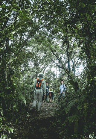 A family hiking along a scenic trail in a lush forest.