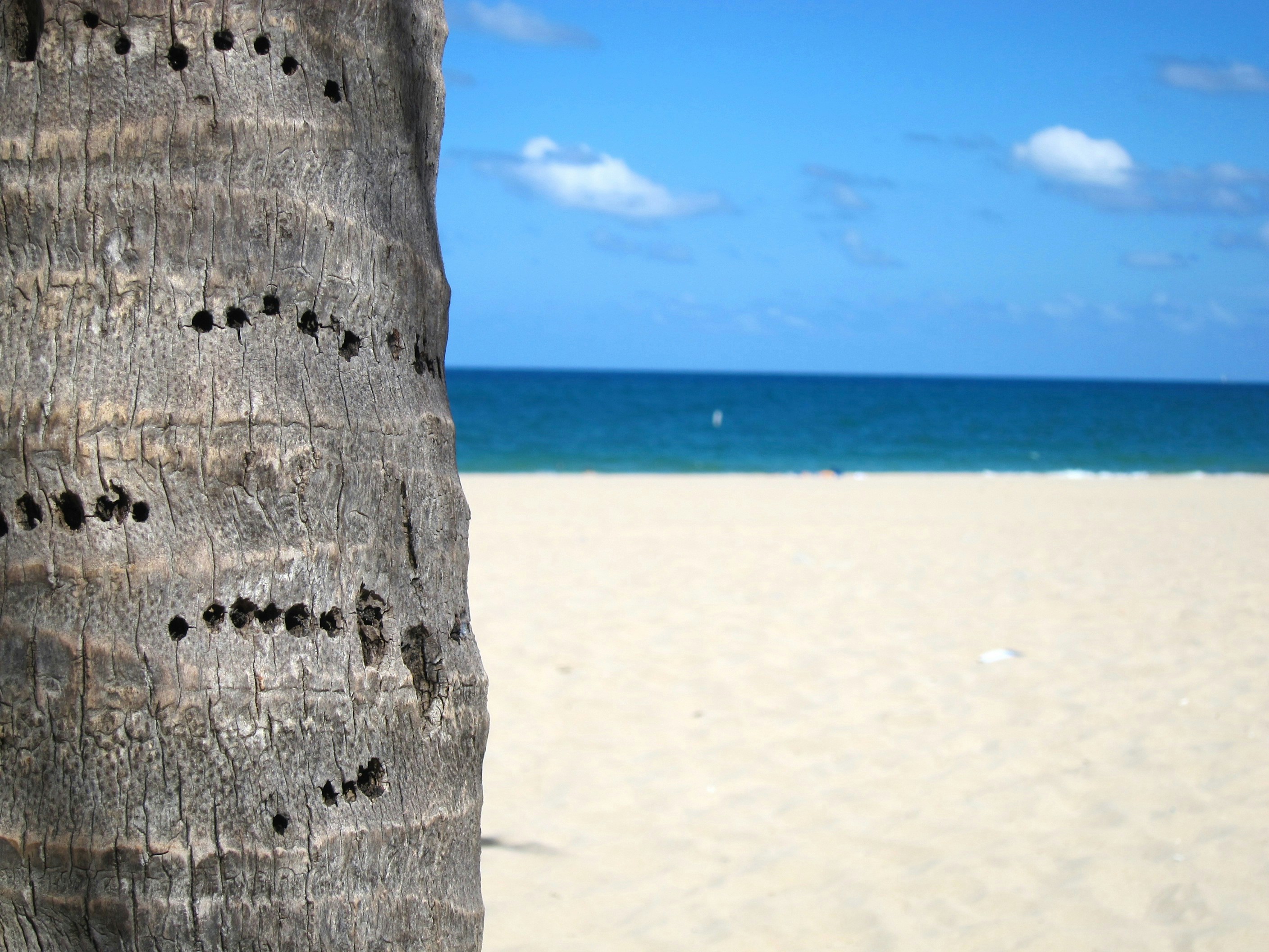 Free Unsplash photo from Mila Koc