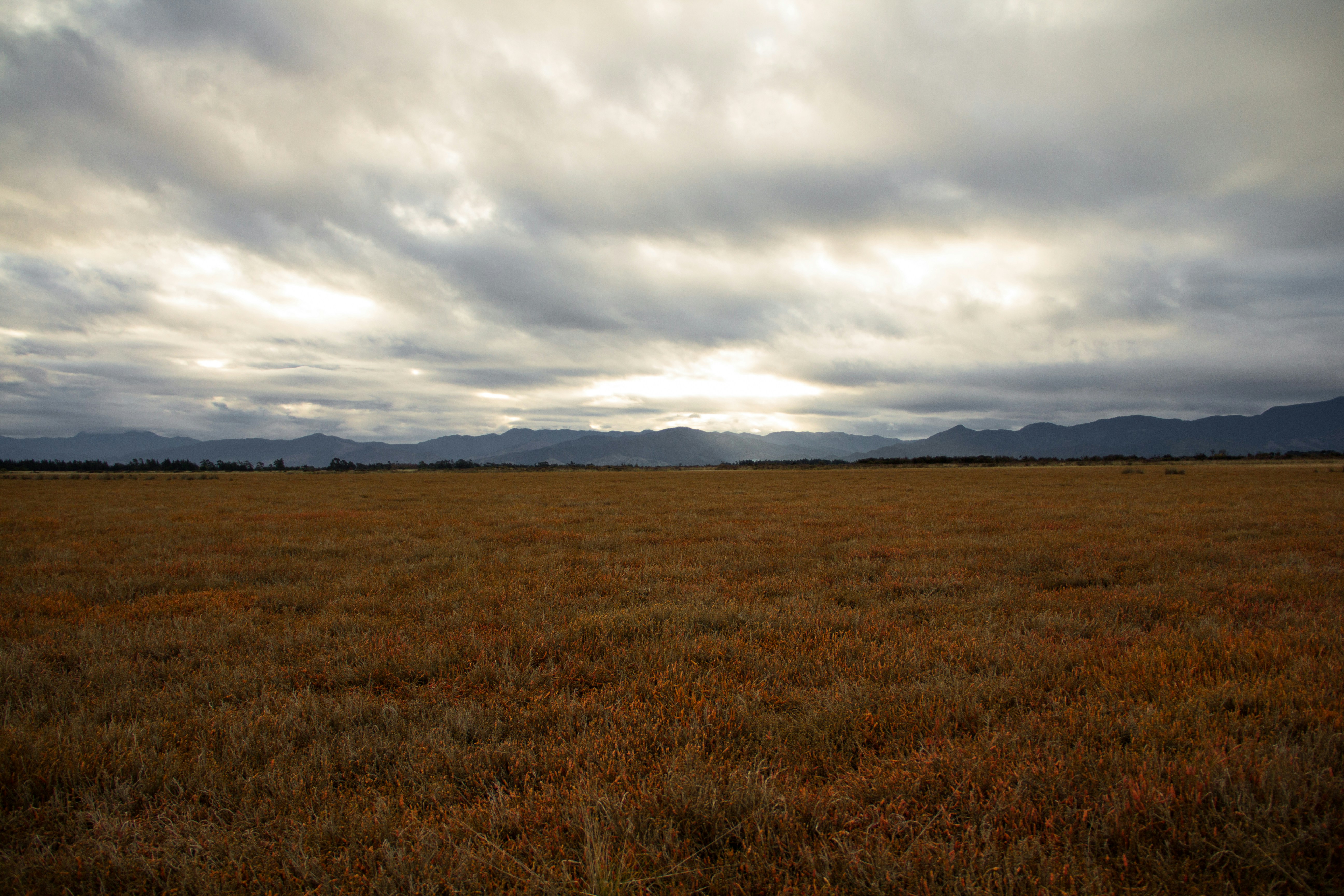 Free Unsplash photo from Dylan Collette