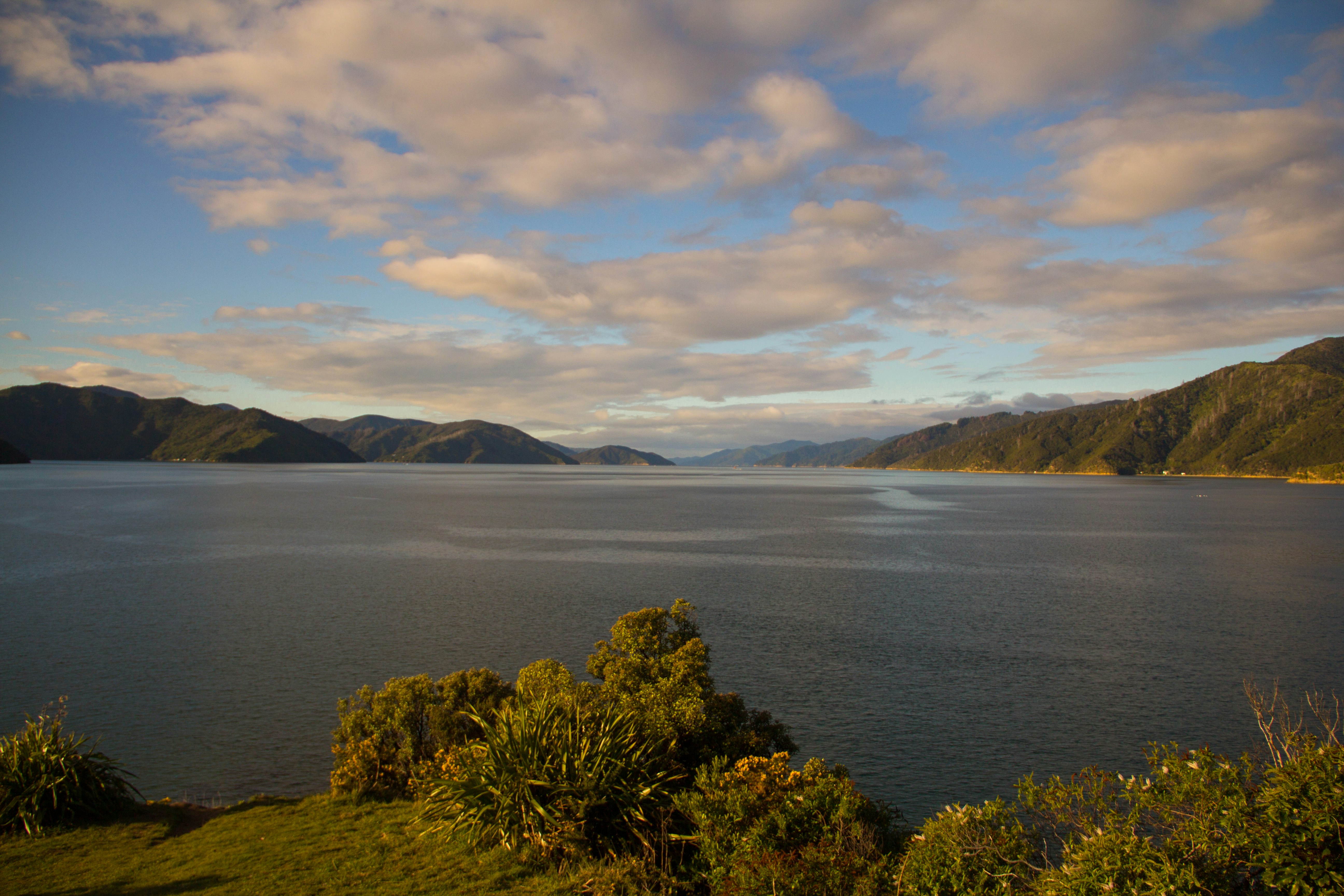 Free Unsplash photo from Dylan Collette