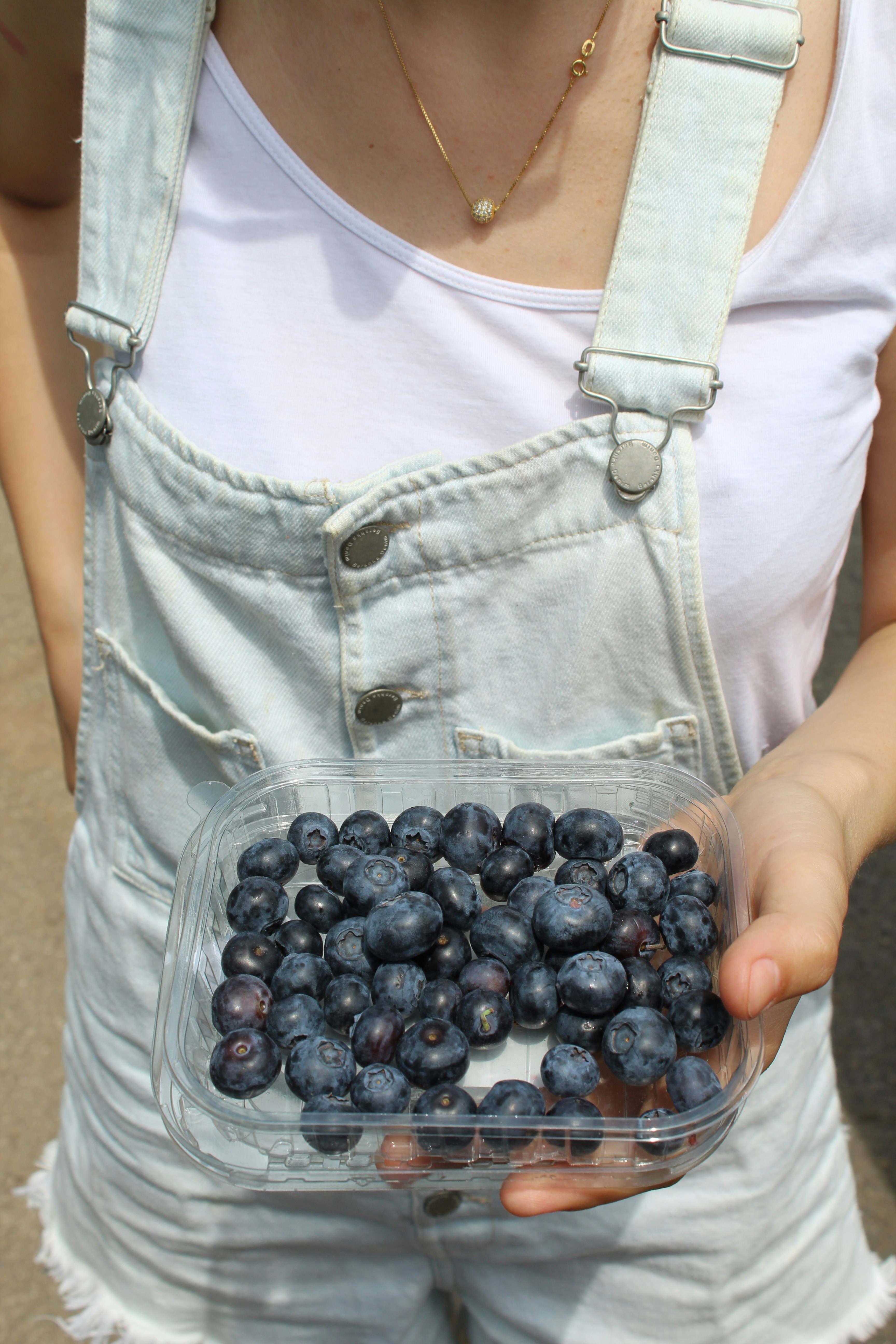 Free Unsplash photo from Anca Luchit