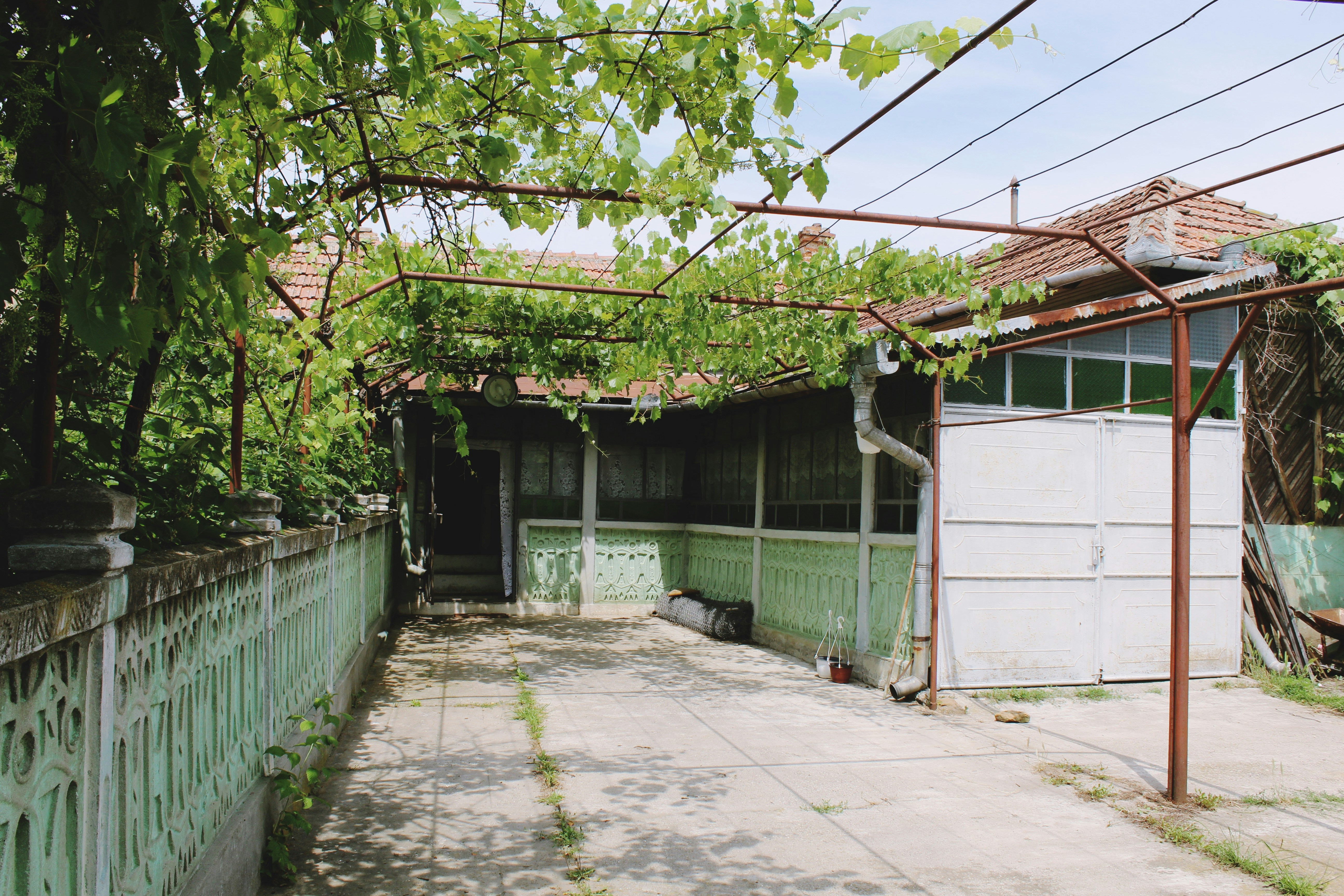 Free Unsplash photo from Anca Luchit