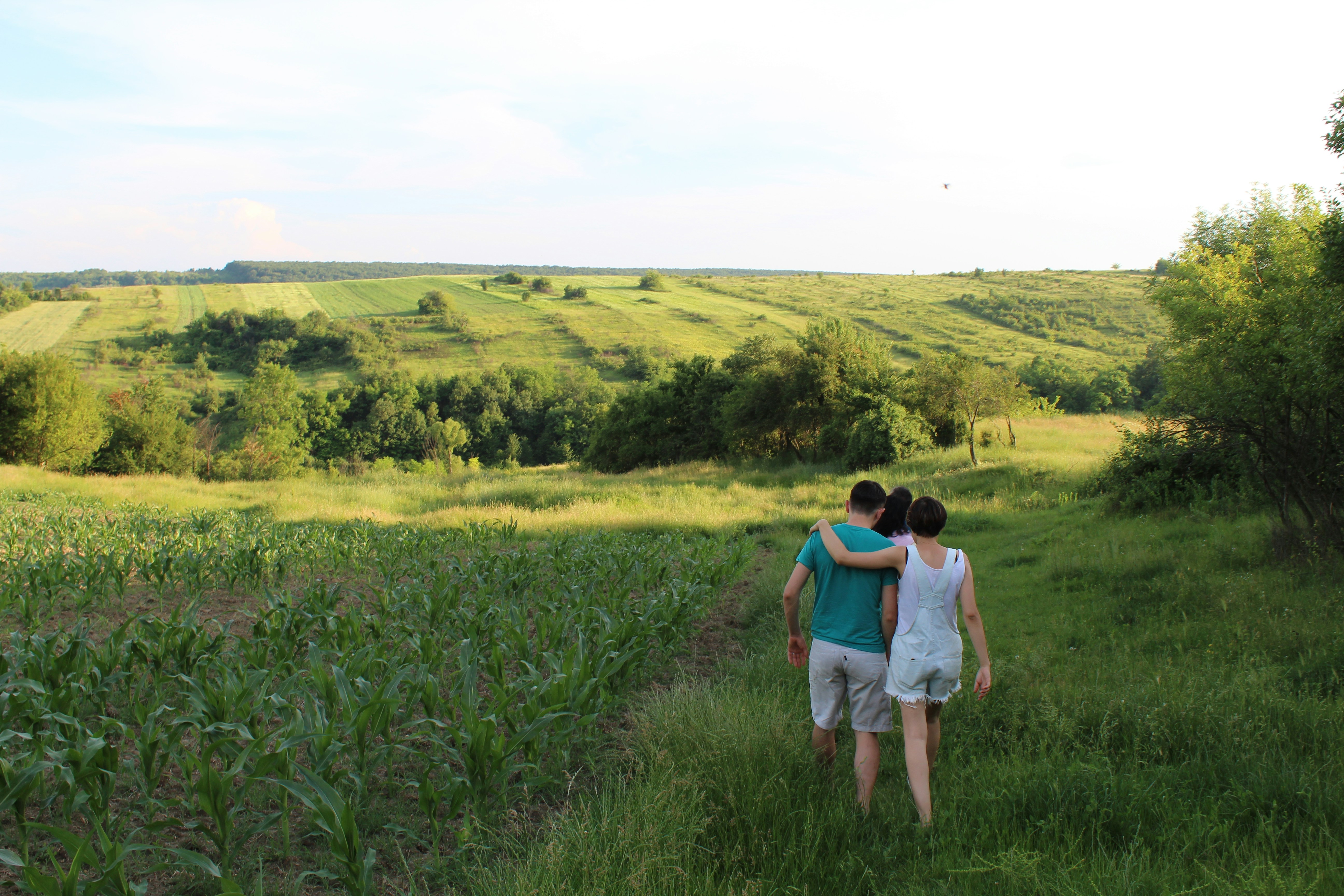 Free Unsplash photo from Anca Luchit