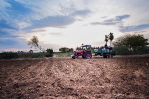 A tractor working on a lush green farm field during sunrise