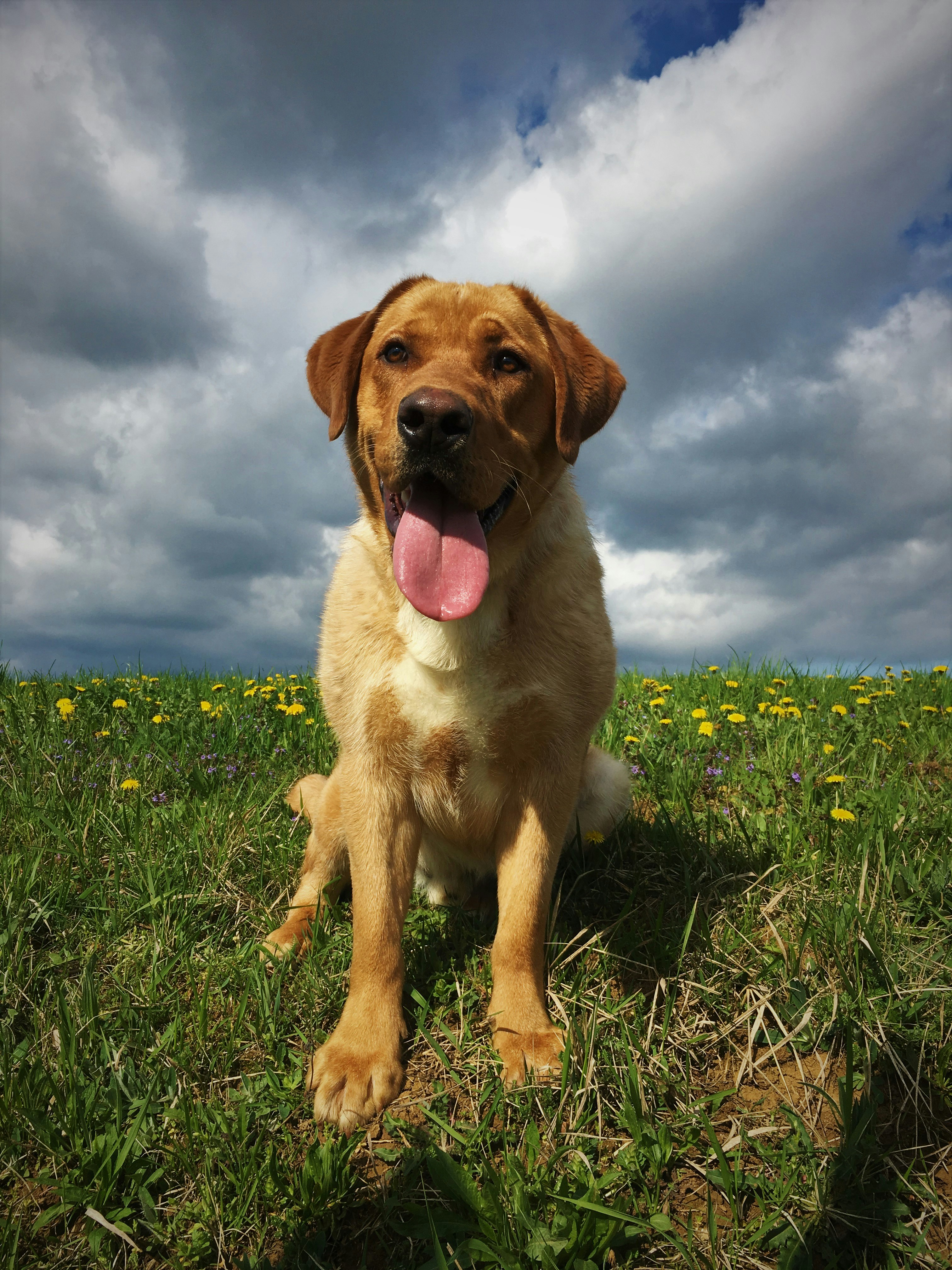 Free Unsplash photo from Klemen Smolic