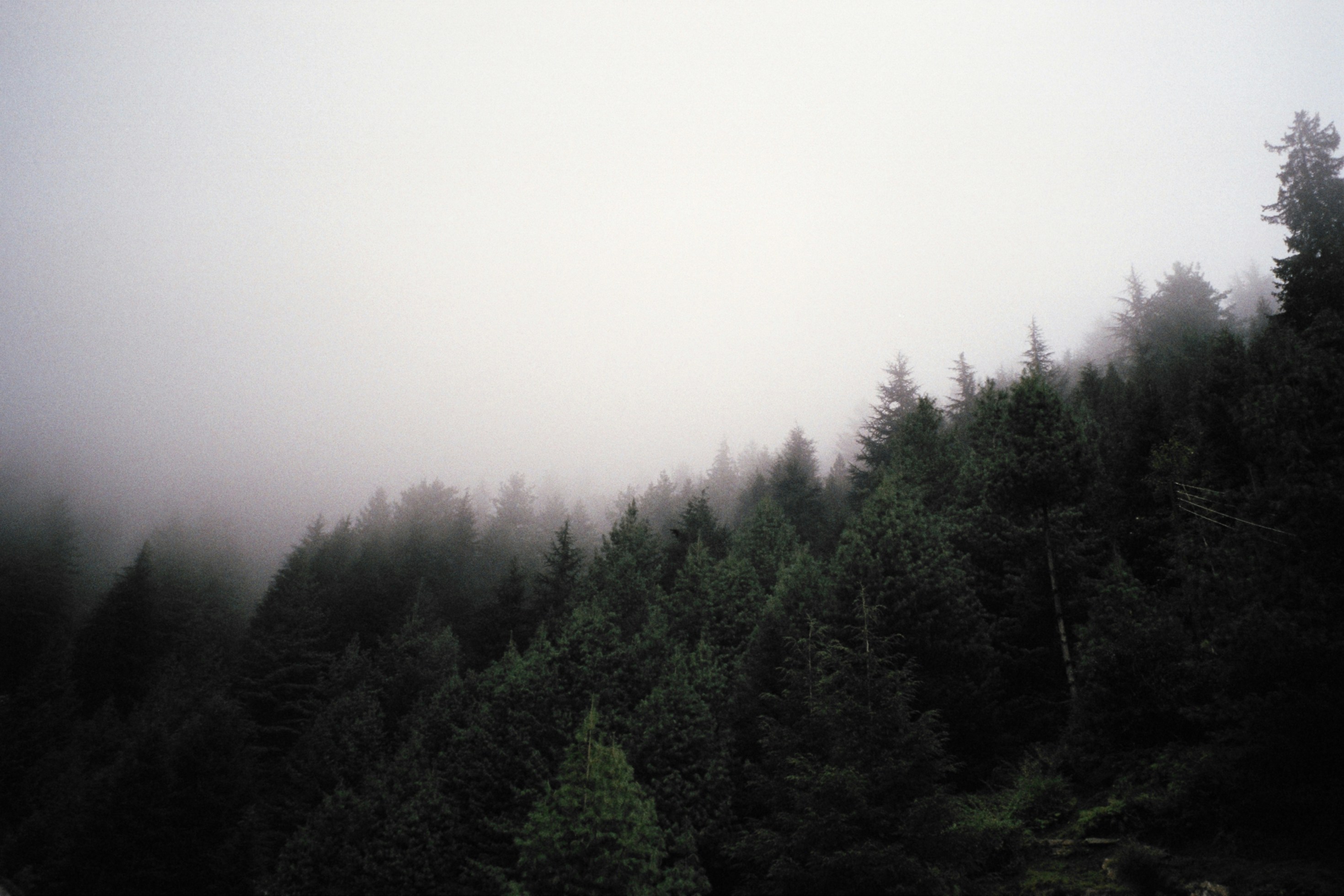 Free Unsplash photo from Alena Lisenkina