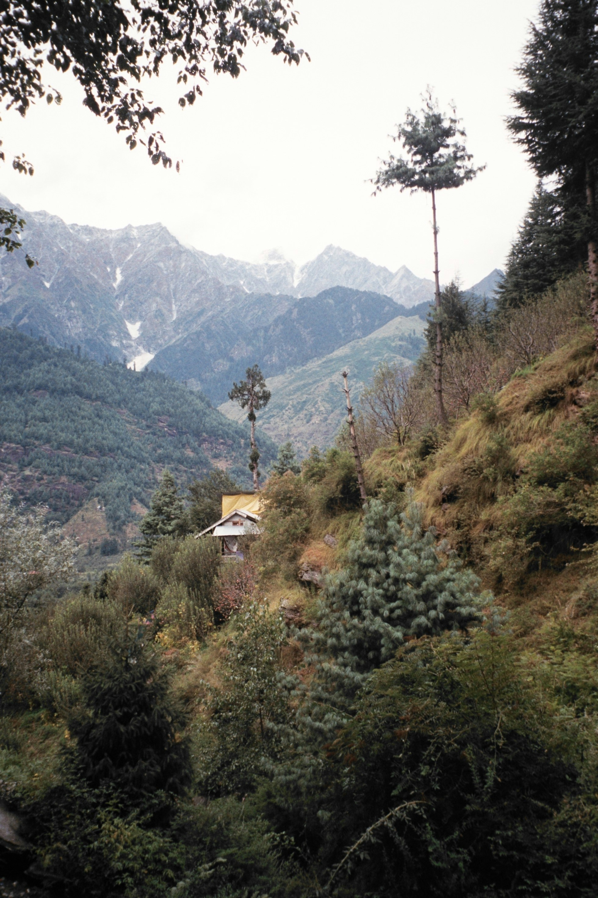 Free Unsplash photo from Alena Lisenkina