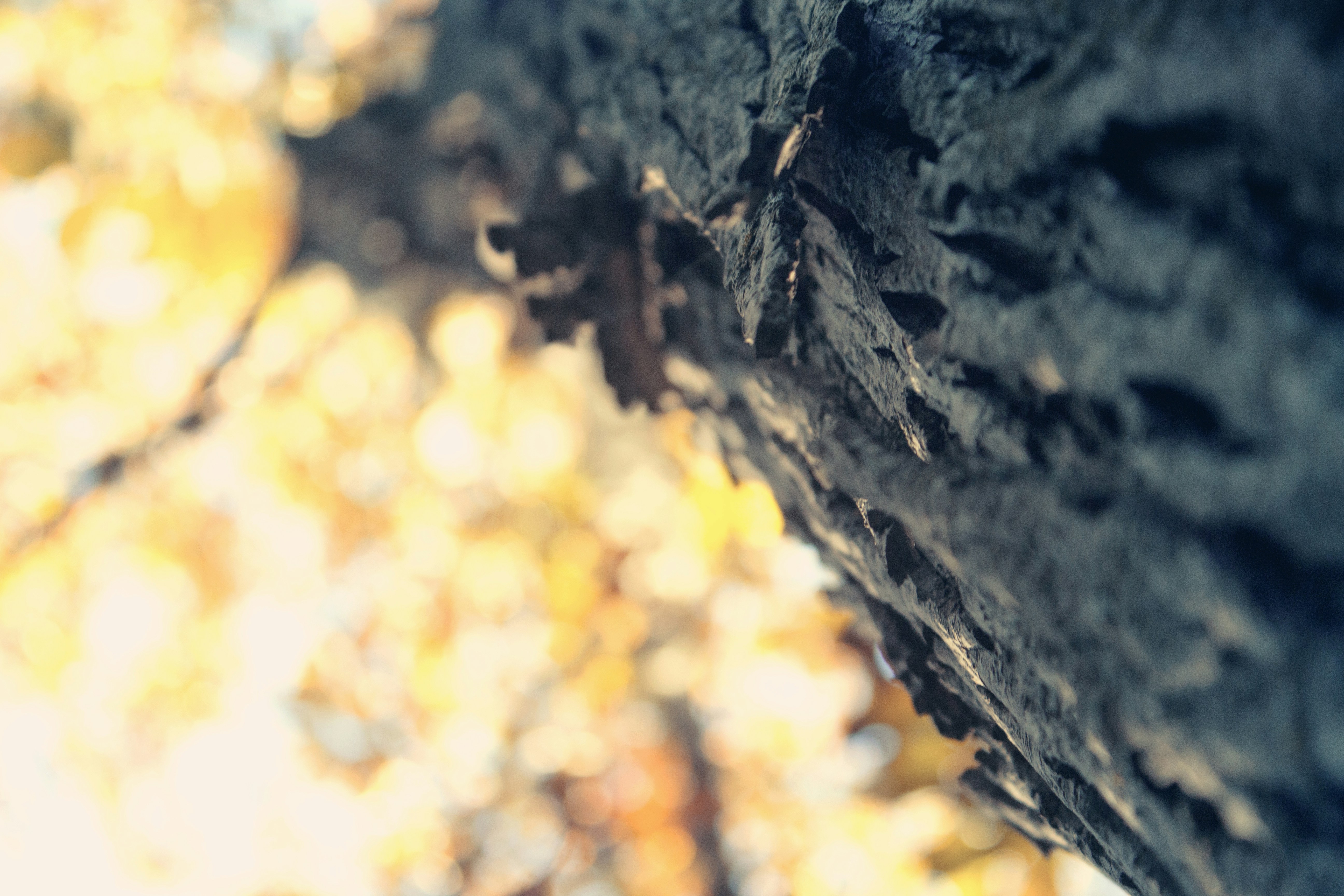 Free Unsplash photo from Matthew Hall