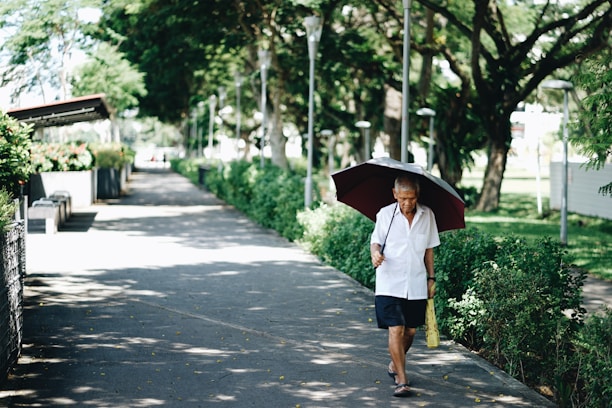 An elderly person walks along a tree-lined path in a park, holding a large umbrella. The surroundings are lush with greenery and the path is well-lit by sunlight filtering through the trees.