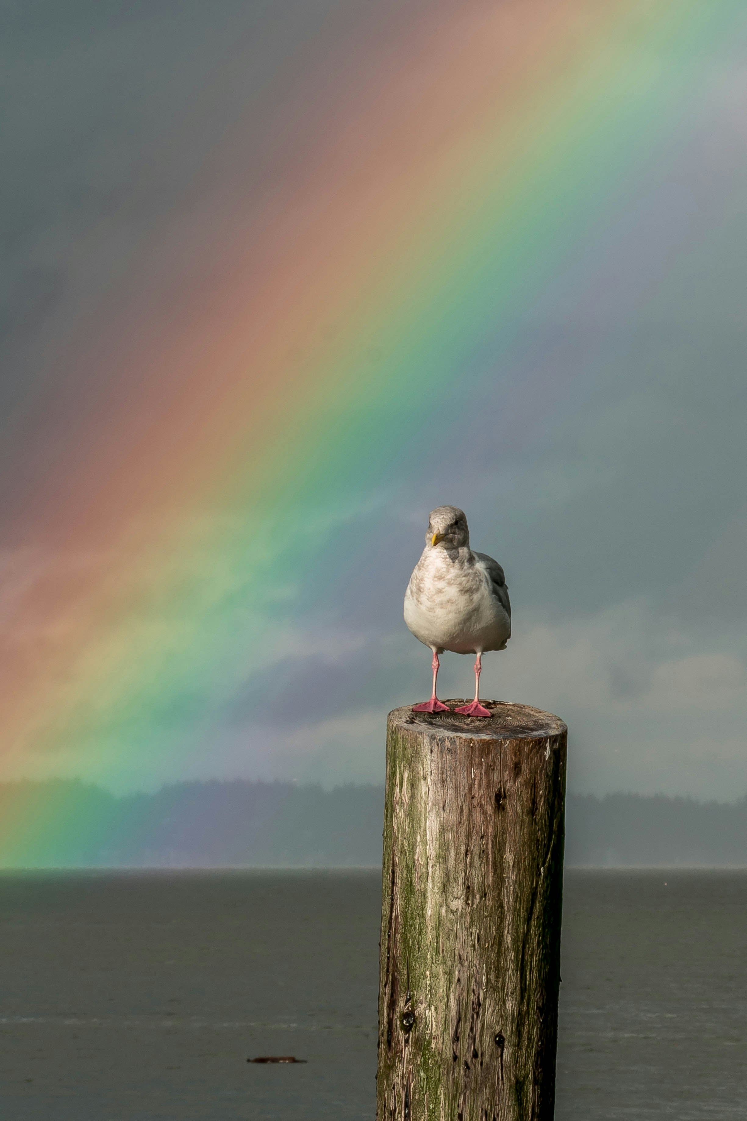 Free Unsplash photo from Rebecca Mezistrano