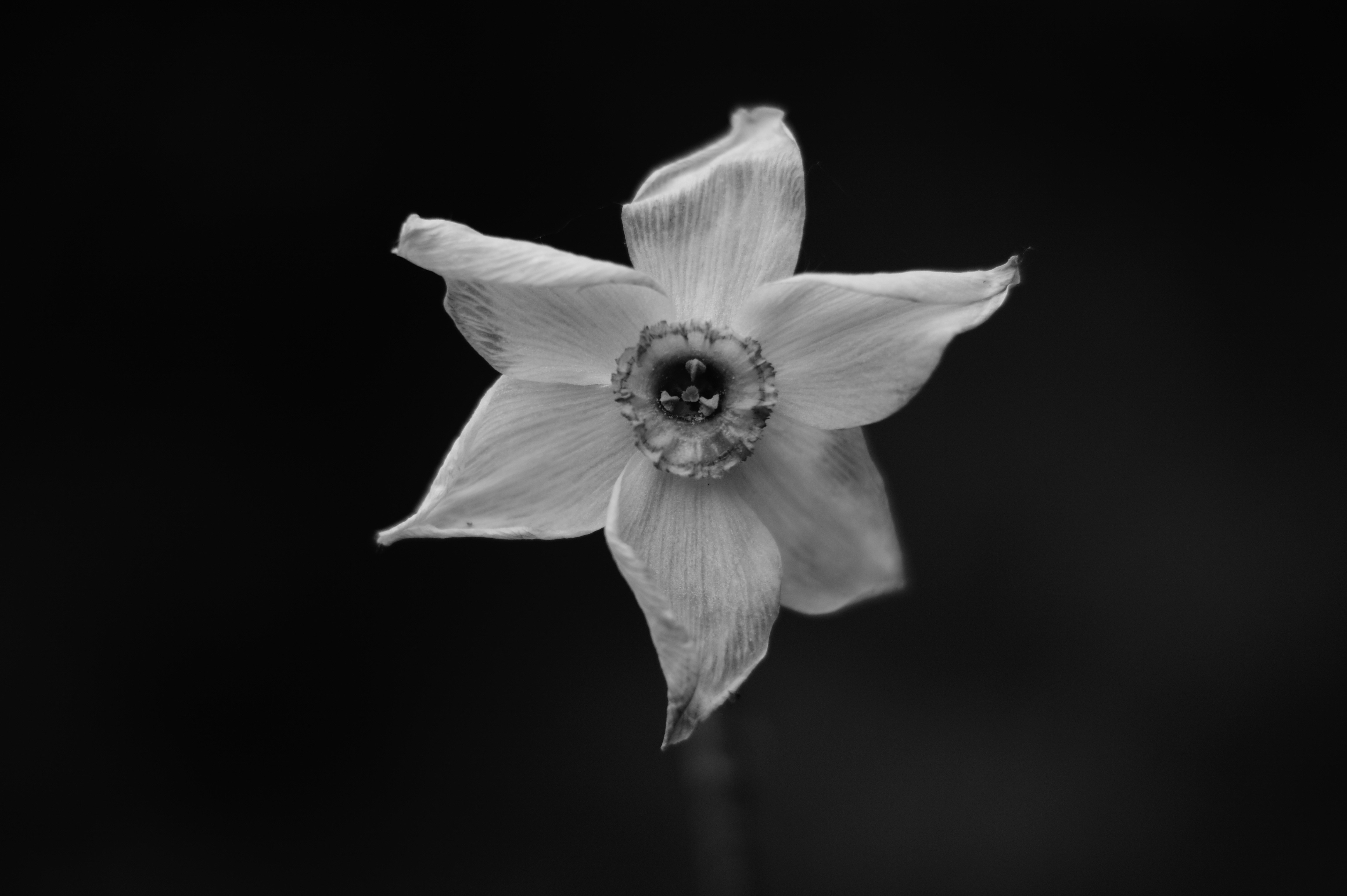 Free Unsplash photo from Joanna Iczakowska