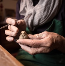 person holding bird wood craft