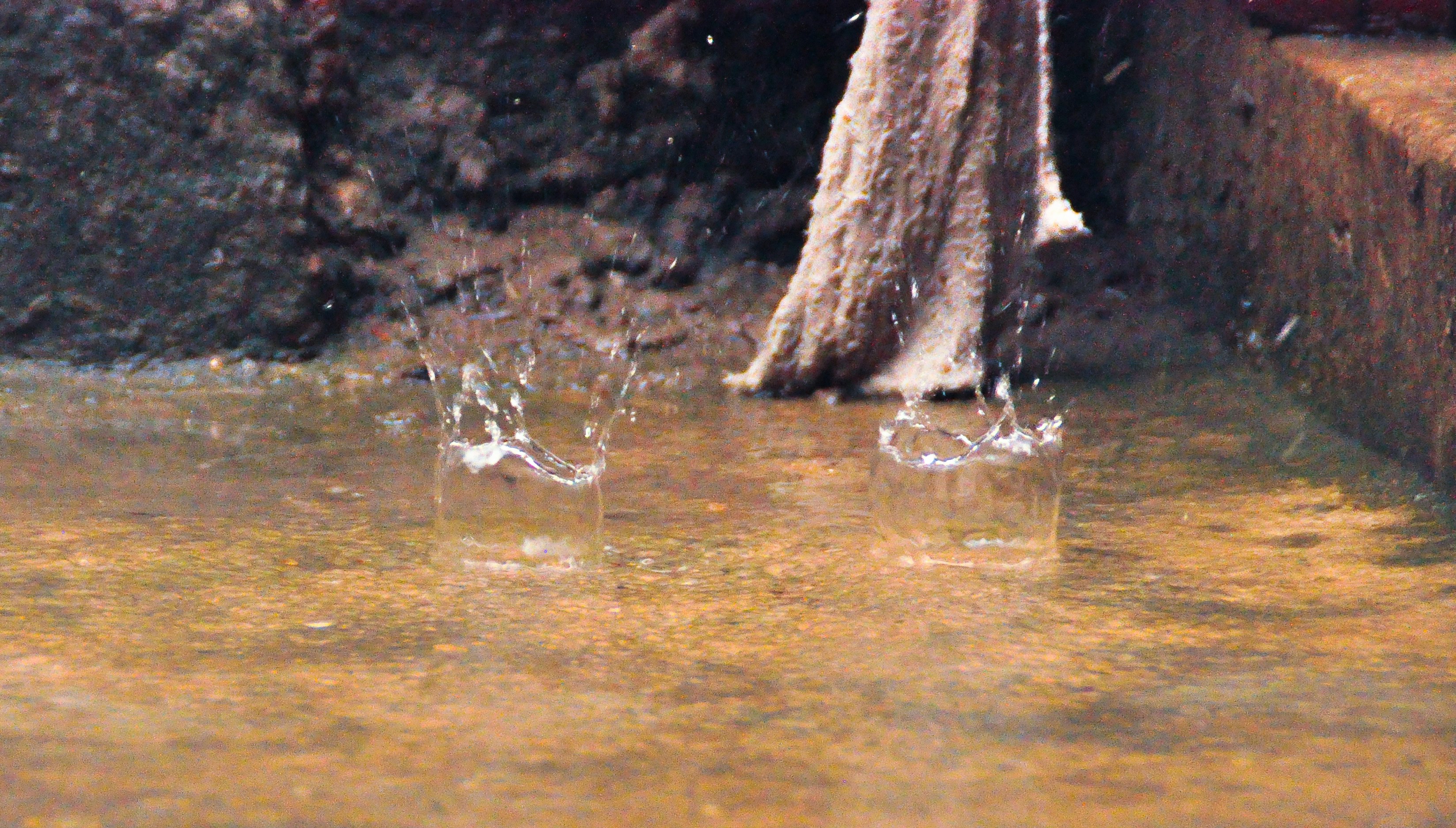 Free Unsplash photo from Victor Kwashie