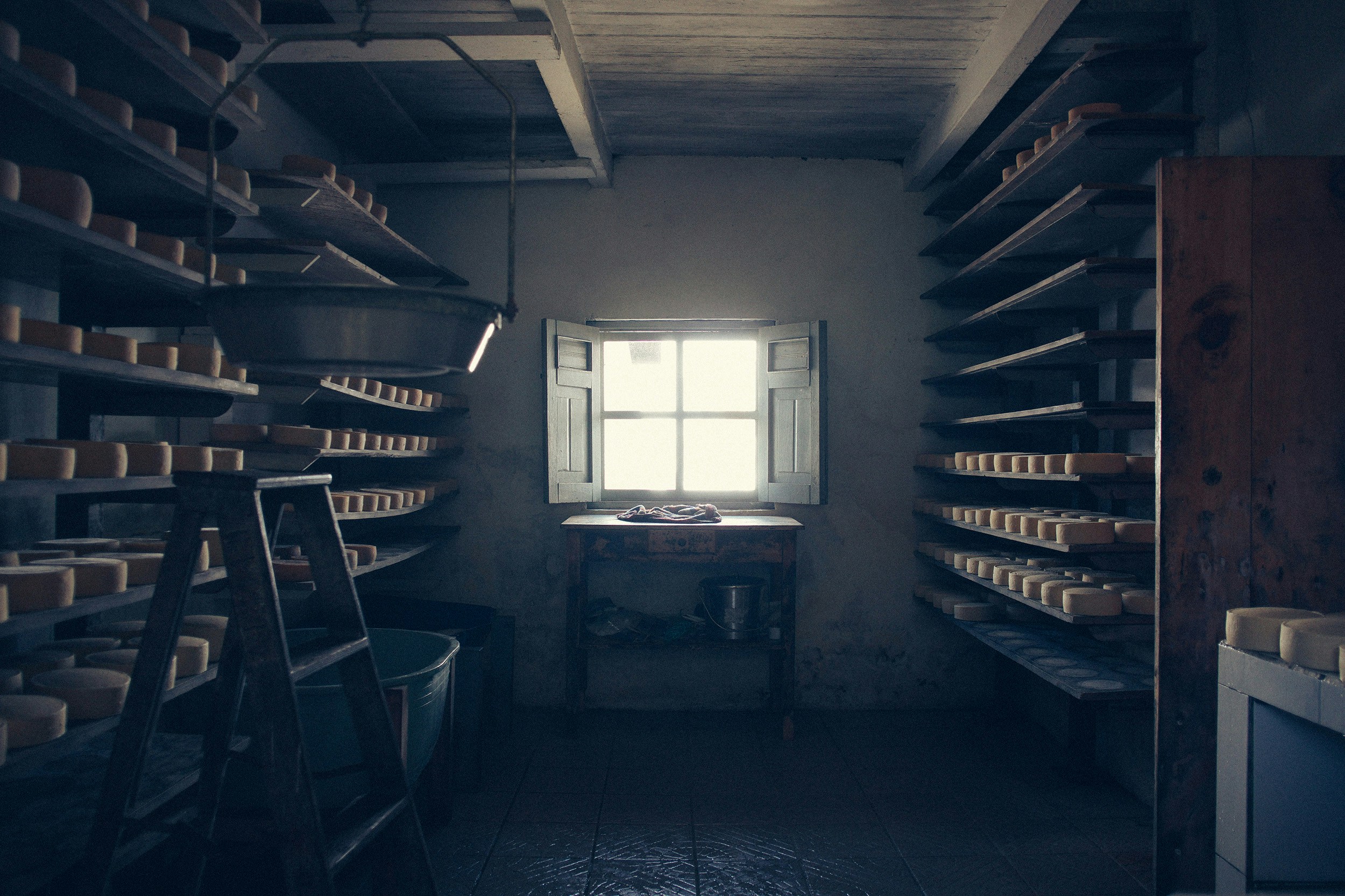 The Ventral Pallidum: A Critical Node in Pleasure and Motivation