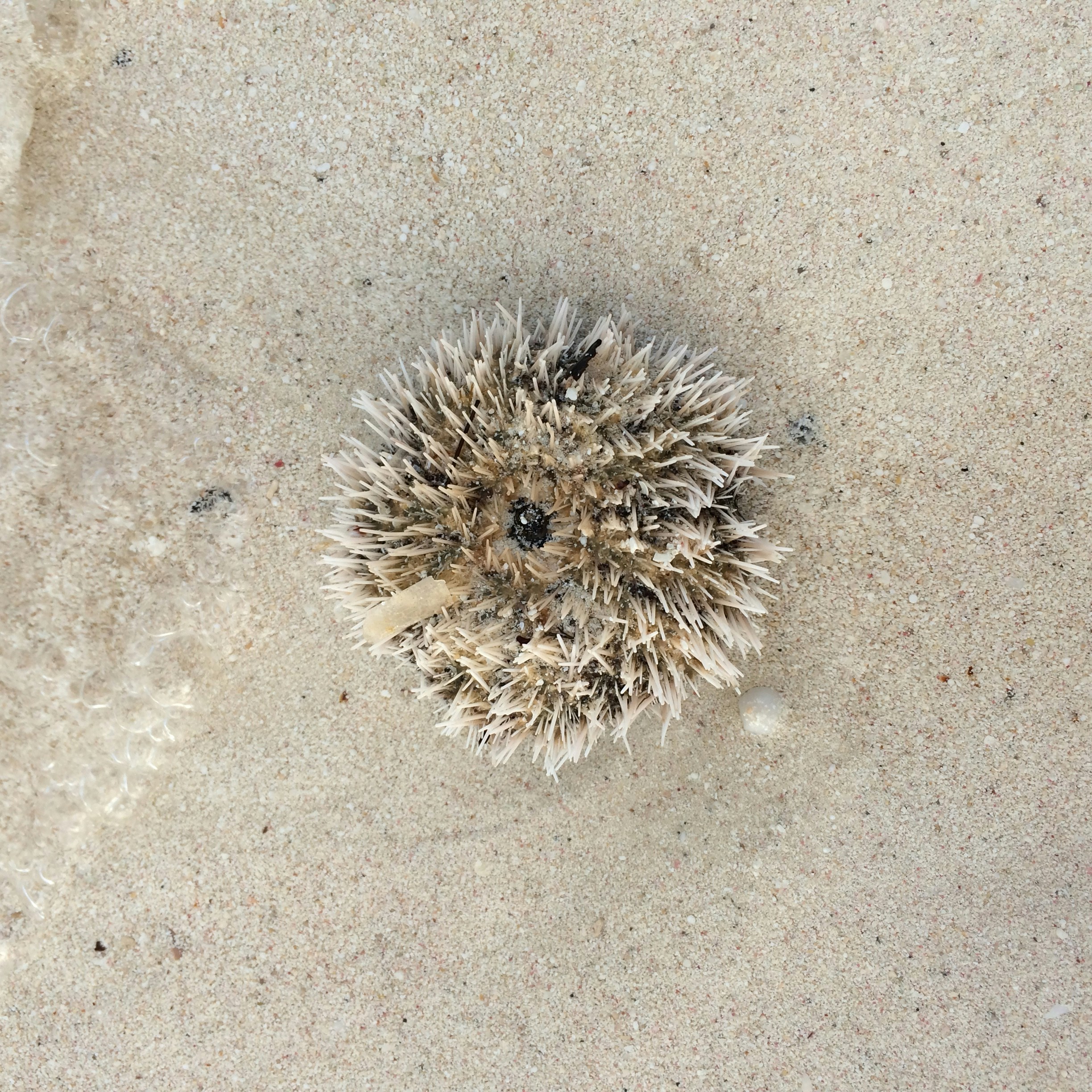 Free Unsplash photo from Jianyi  Xu