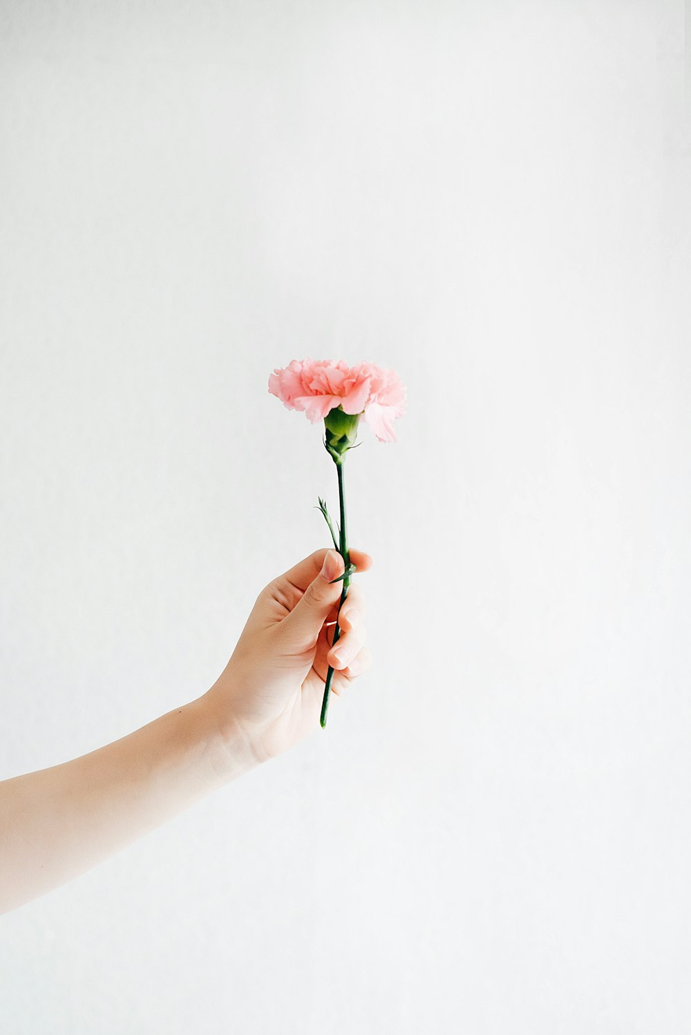 A person holding a flower up.