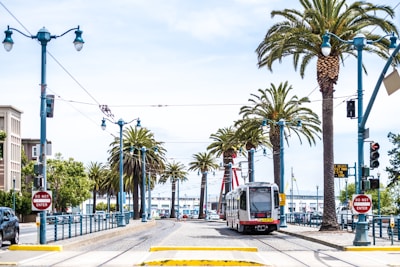 A tram travels along a street lined with palm trees and blue lampposts. Signs indicating 'Do Not Enter' flank both sides of the road, and pedestrians can be seen in the distance. The buildings and the clear sky suggest an urban environment with a mix of traffic and leisure areas.