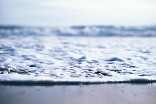 close view of seashore in Sunset State Beach United States