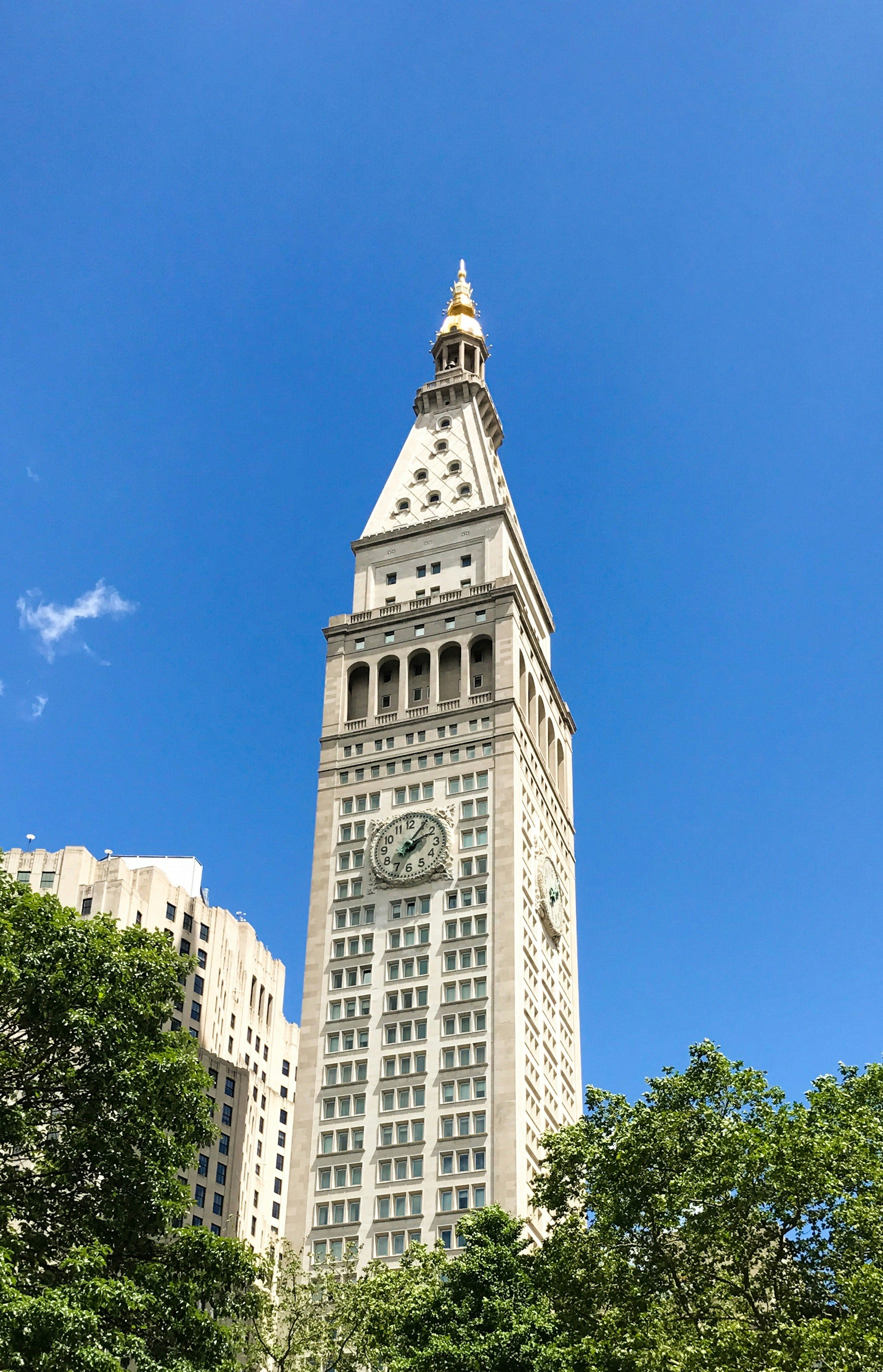 Free Unsplash photo from Jayar LaRoche