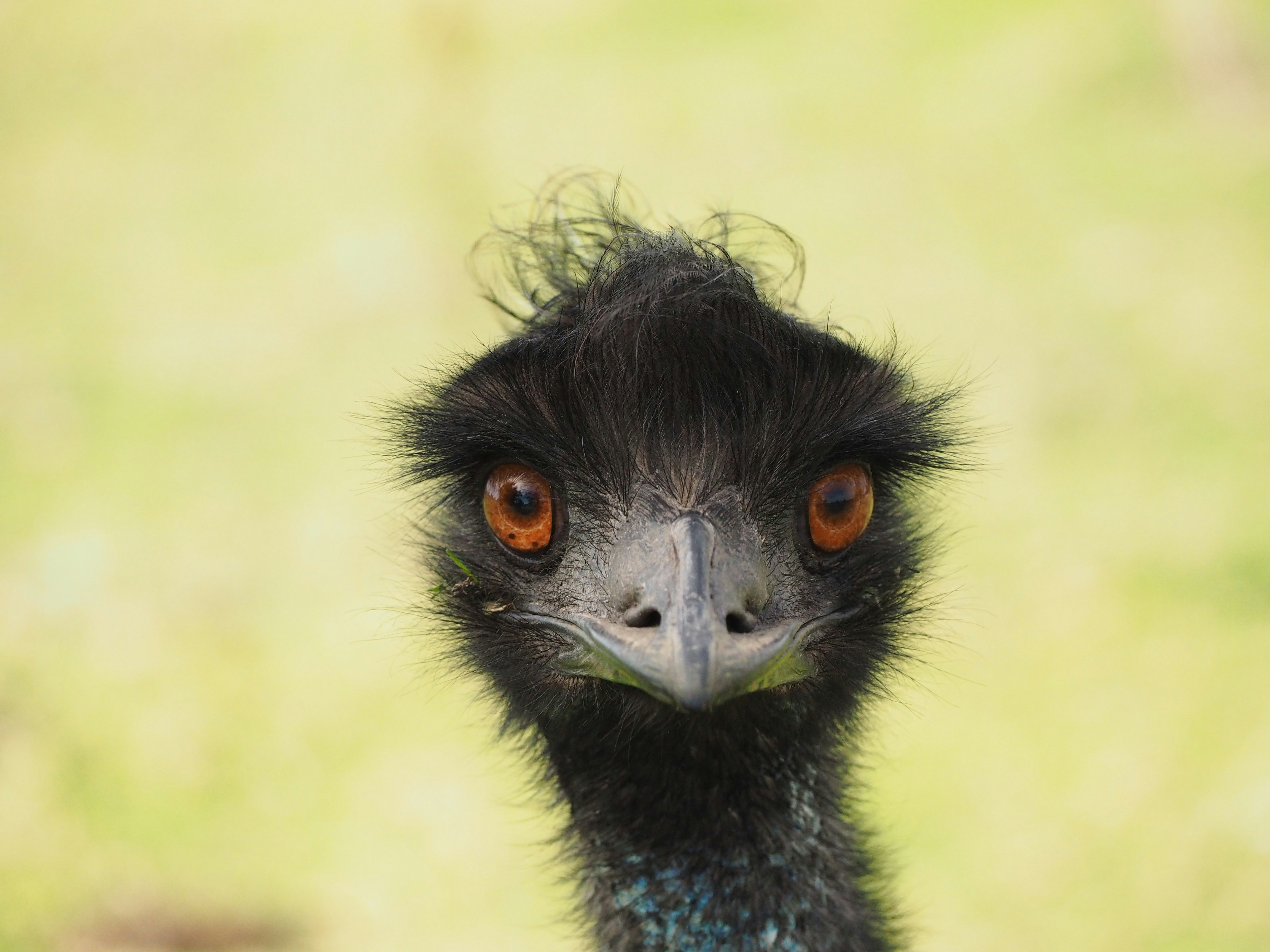 Free Unsplash photo from Fleur Hocking