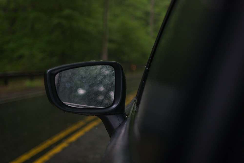 car side mirror showing green trees during daytime