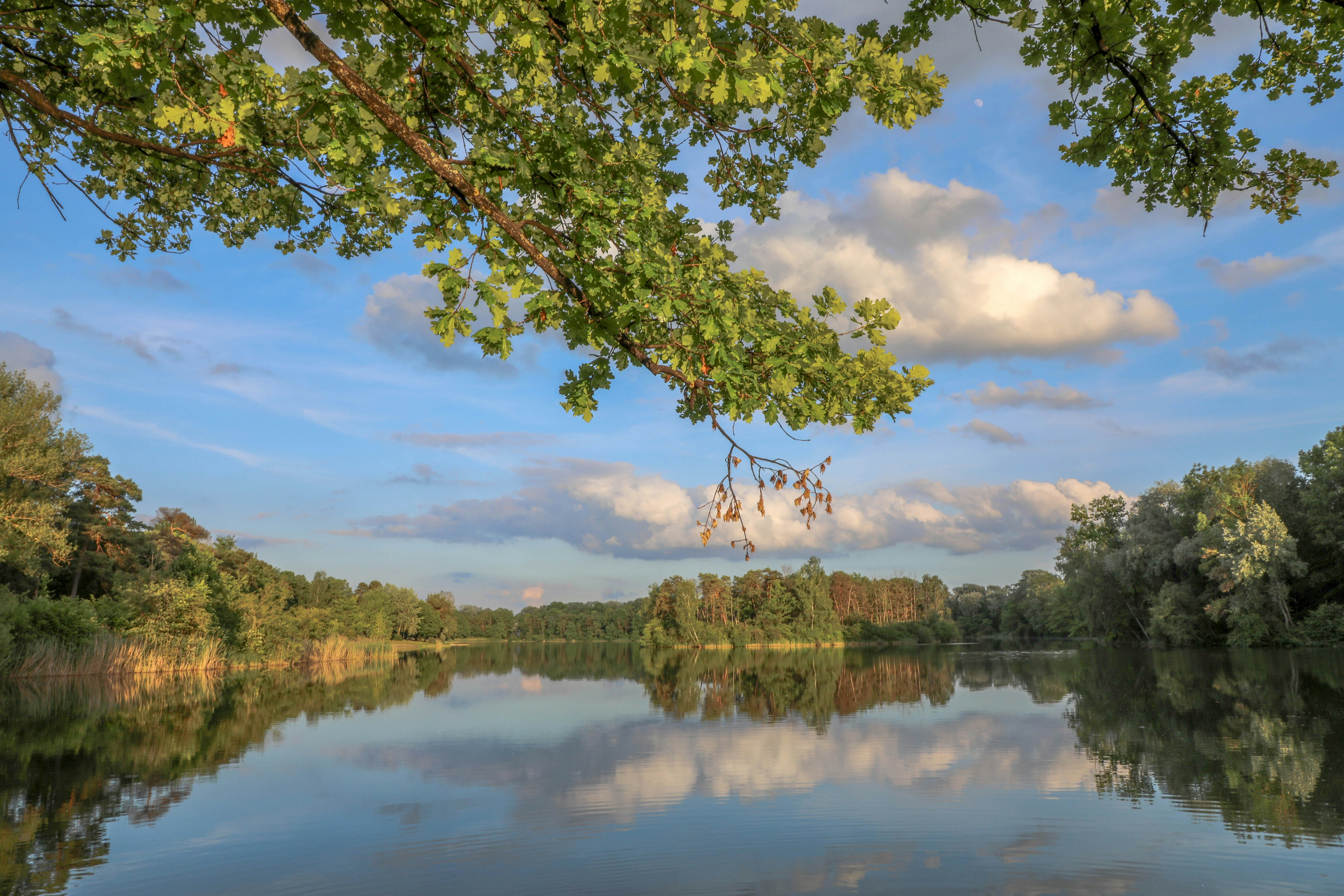 Free Unsplash photo from Arnold Toth