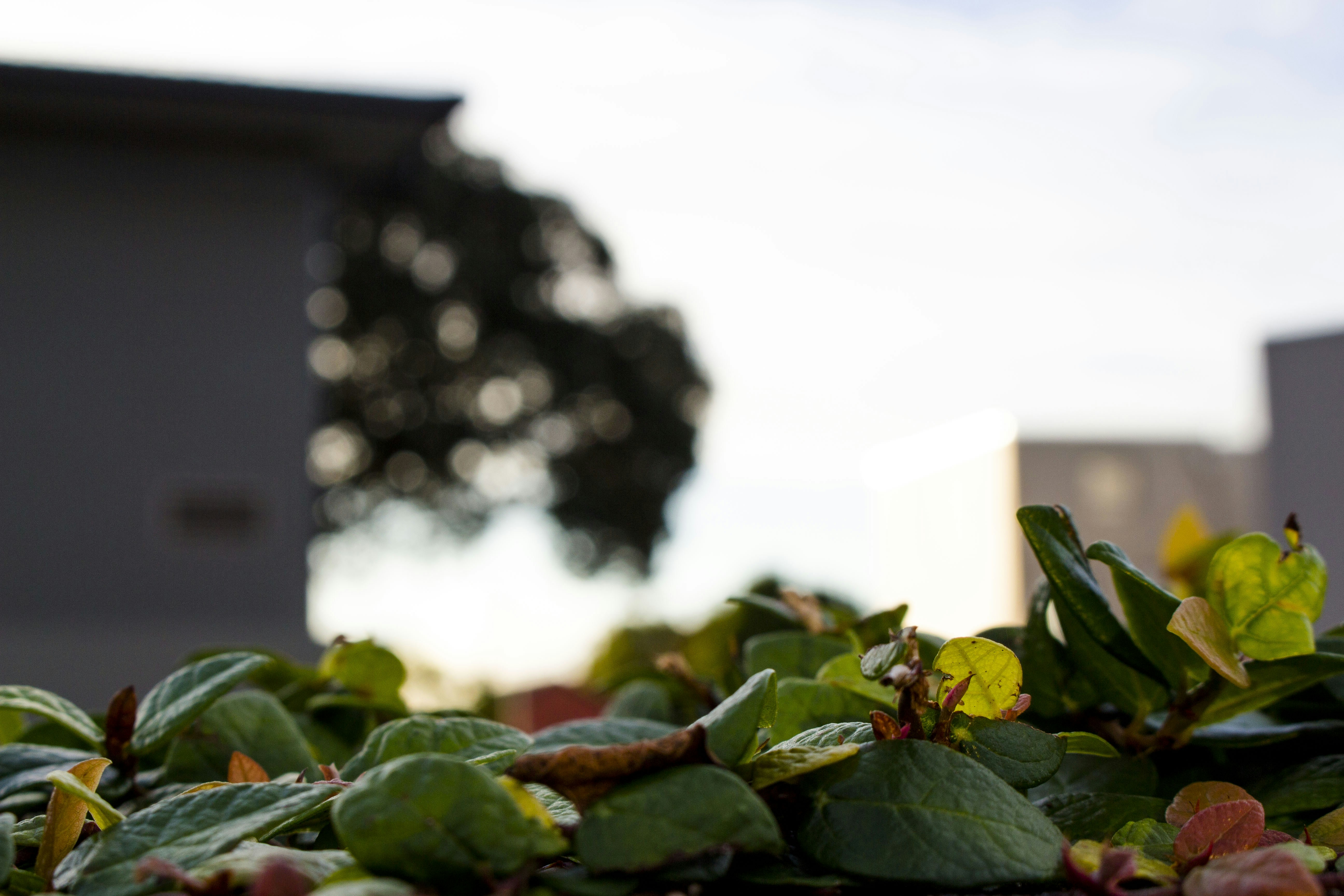 Free Unsplash photo from Patricia Ramos