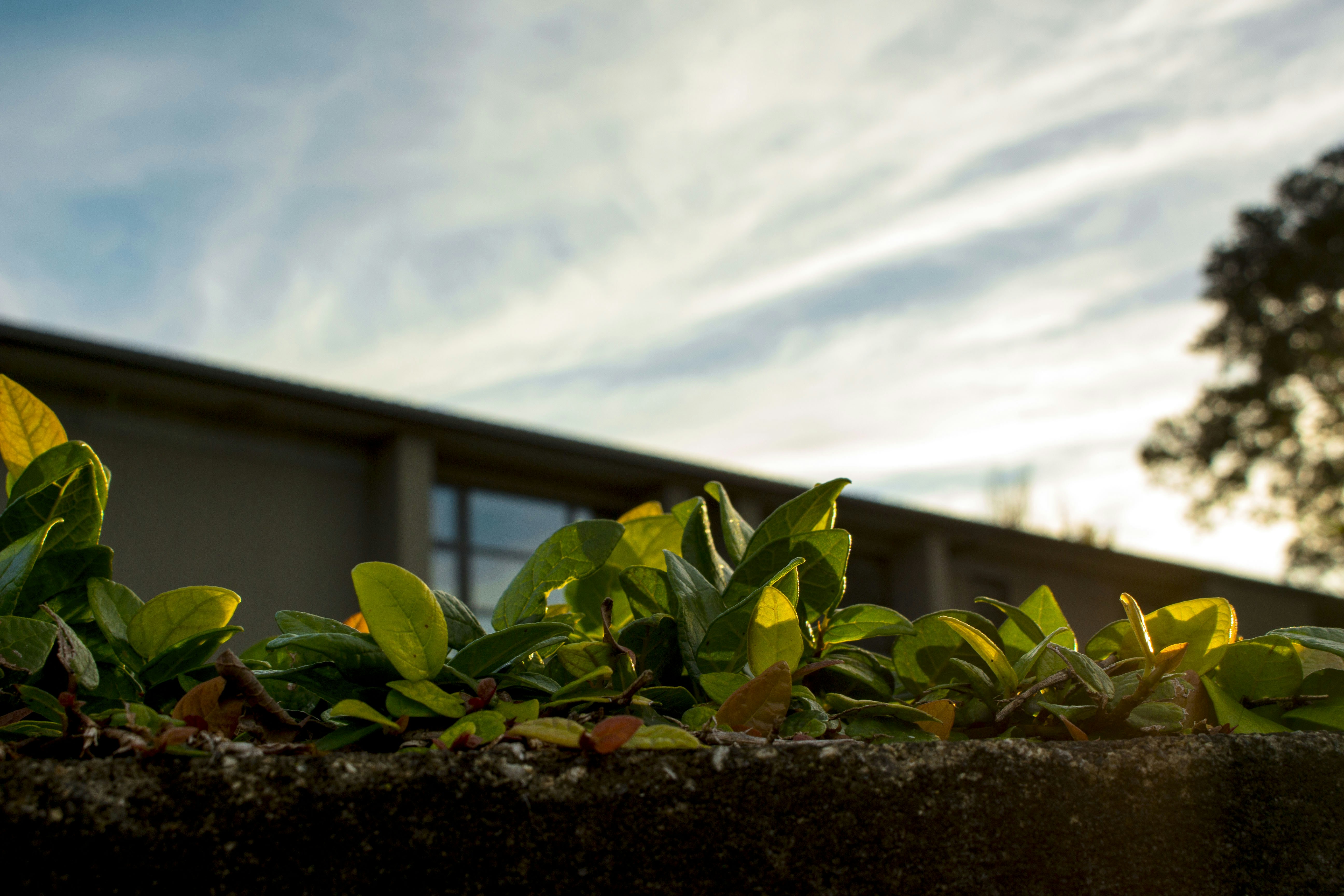 Free Unsplash photo from Patricia Ramos