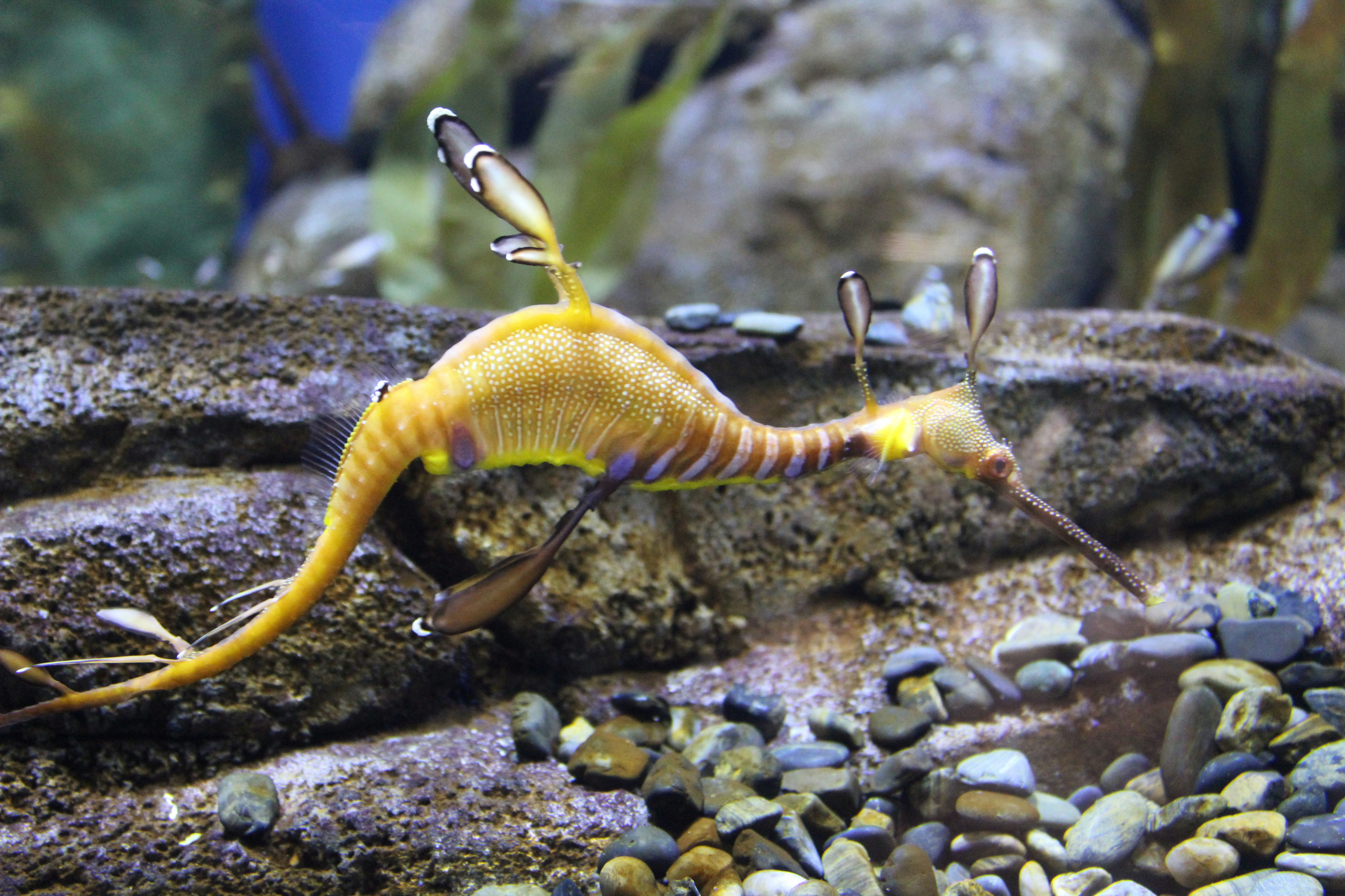 Free Unsplash photo from Otman Licona