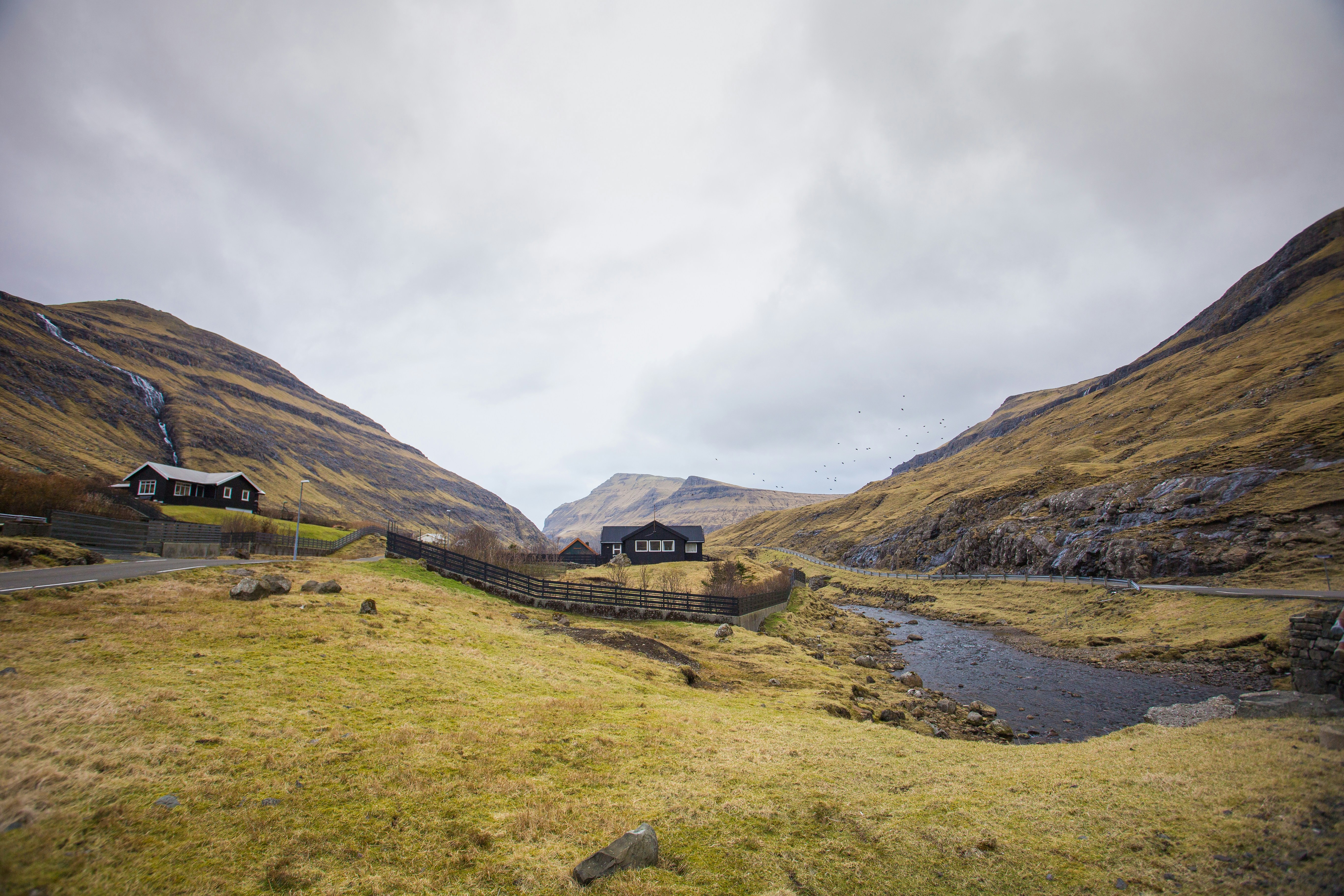 Free Unsplash photo from Melissa Regina