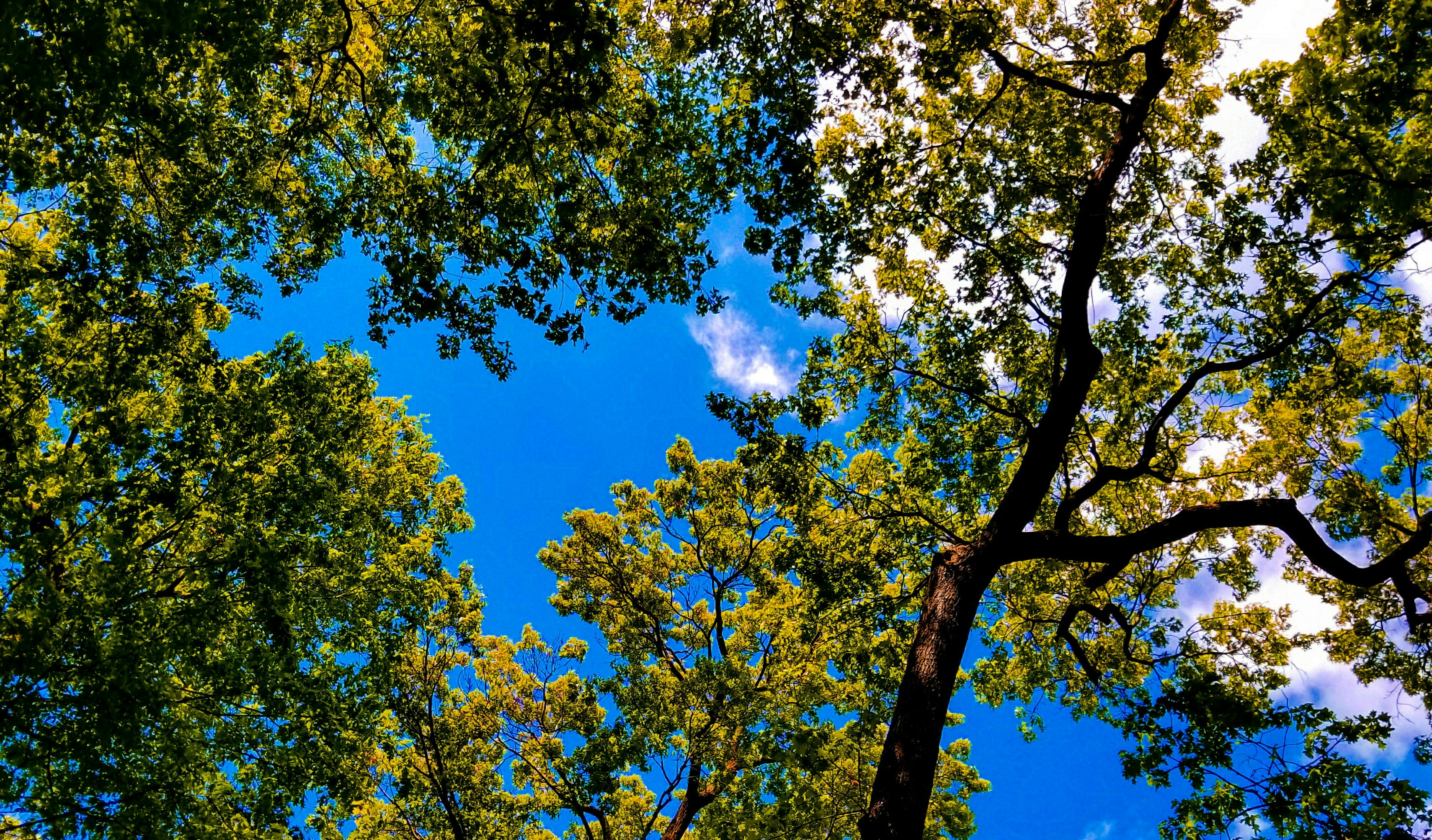 Free Unsplash photo from Gonzalo Ramirez