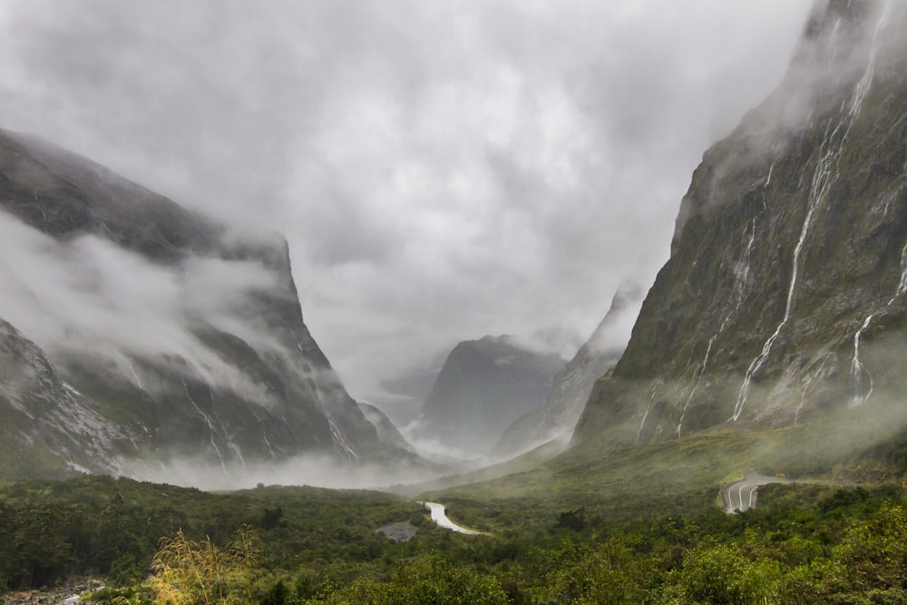 mountains covered with fog