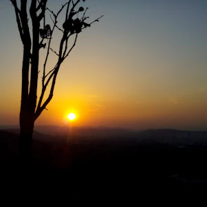A golden sunset over an Australian outback landscape with silhouetted eucalyptus trees and distant hills.