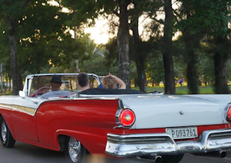 Red convertible cruising through a tree-lined avenue on a sunny day