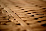Close-up of delicate elven-inspired wood carvings glowing softly under moonlight.