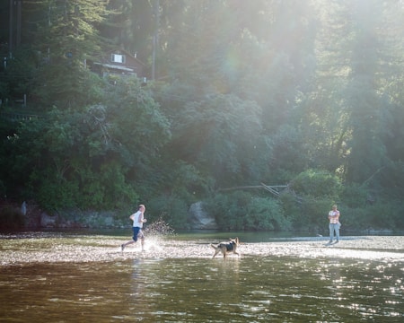 Runner splashing through a shallow river crossing in a race.